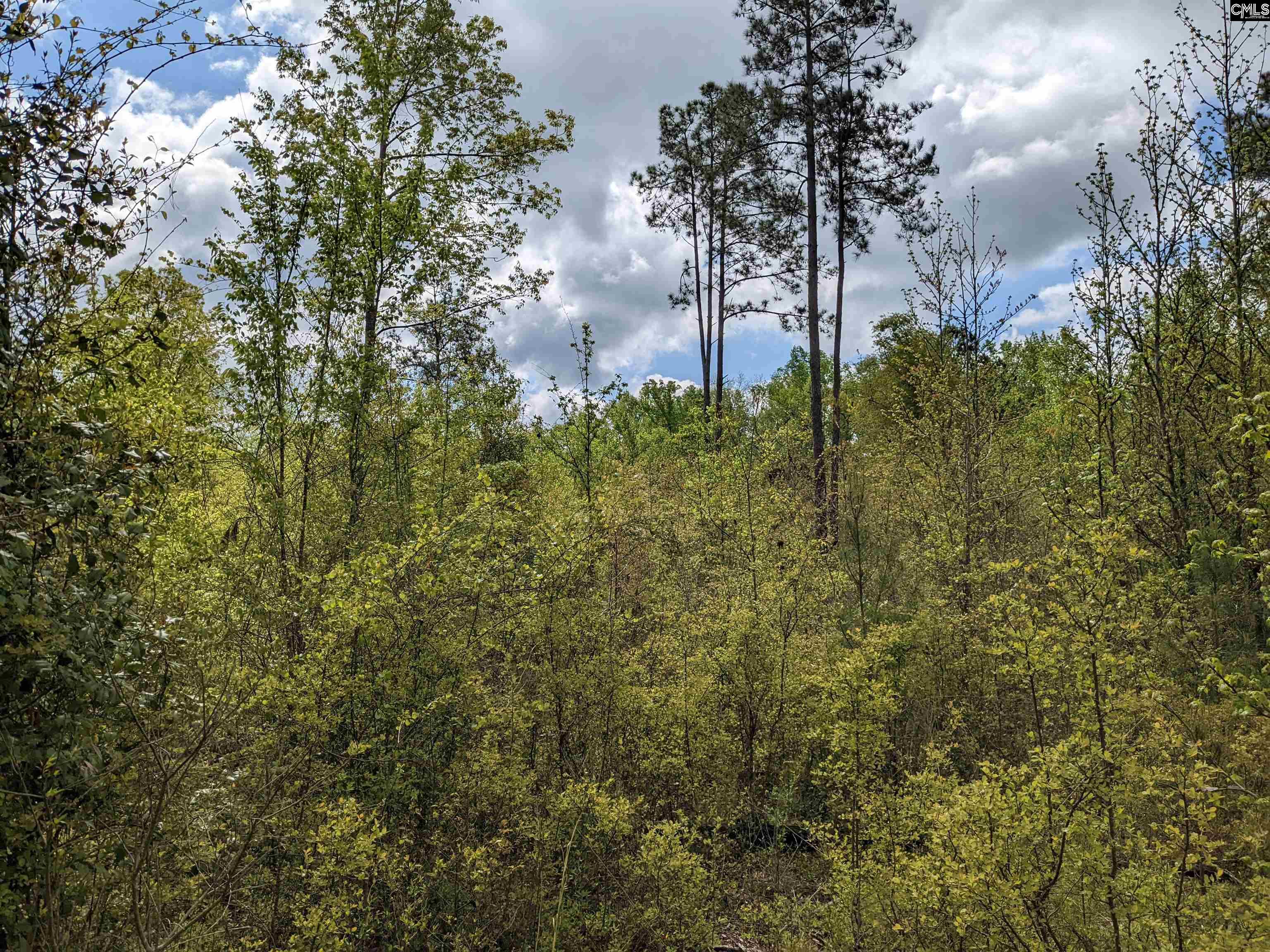 2206 Highway 1 Elgin, SC 29045