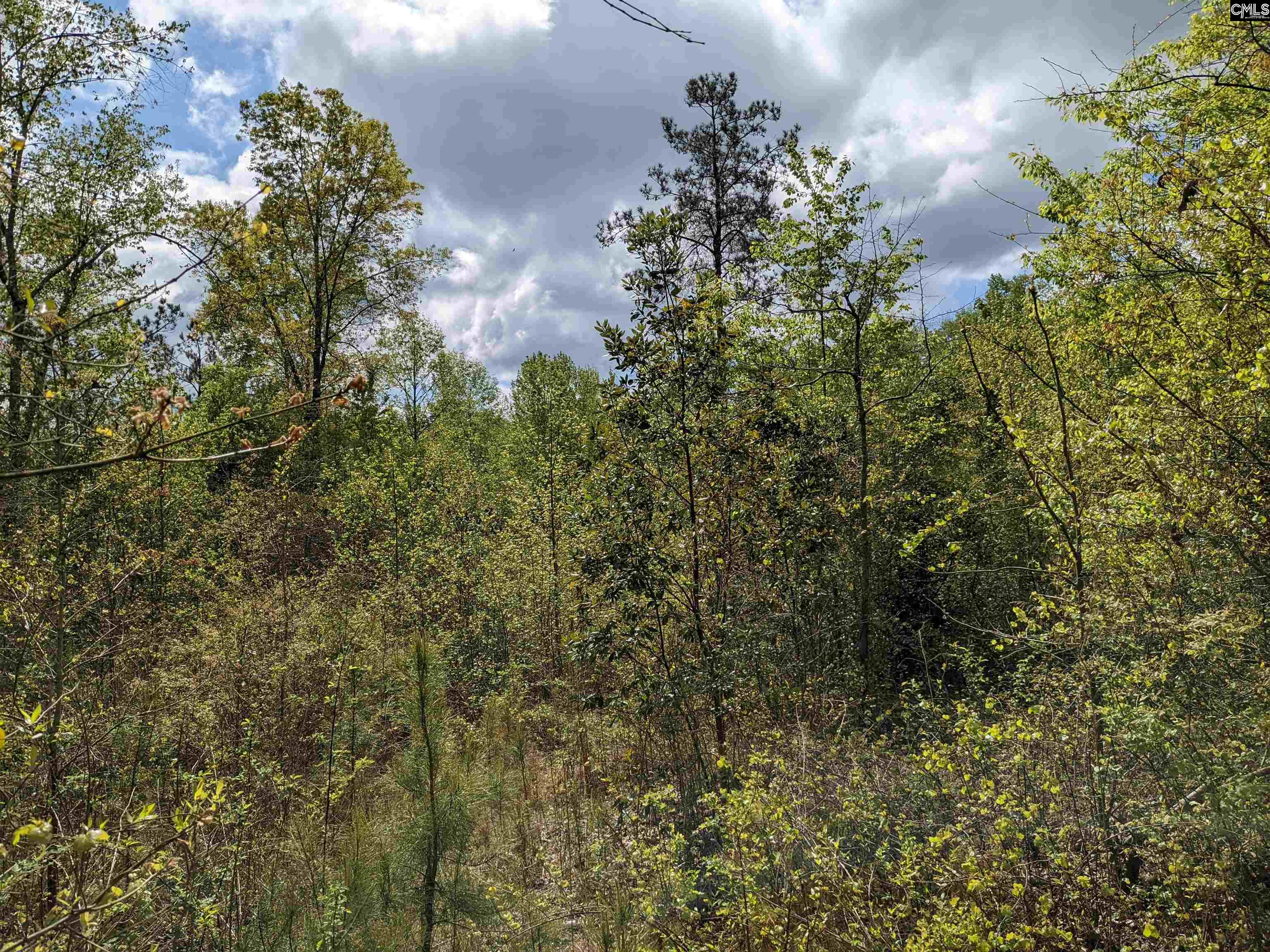 2206 Highway 1 Elgin, SC 29045