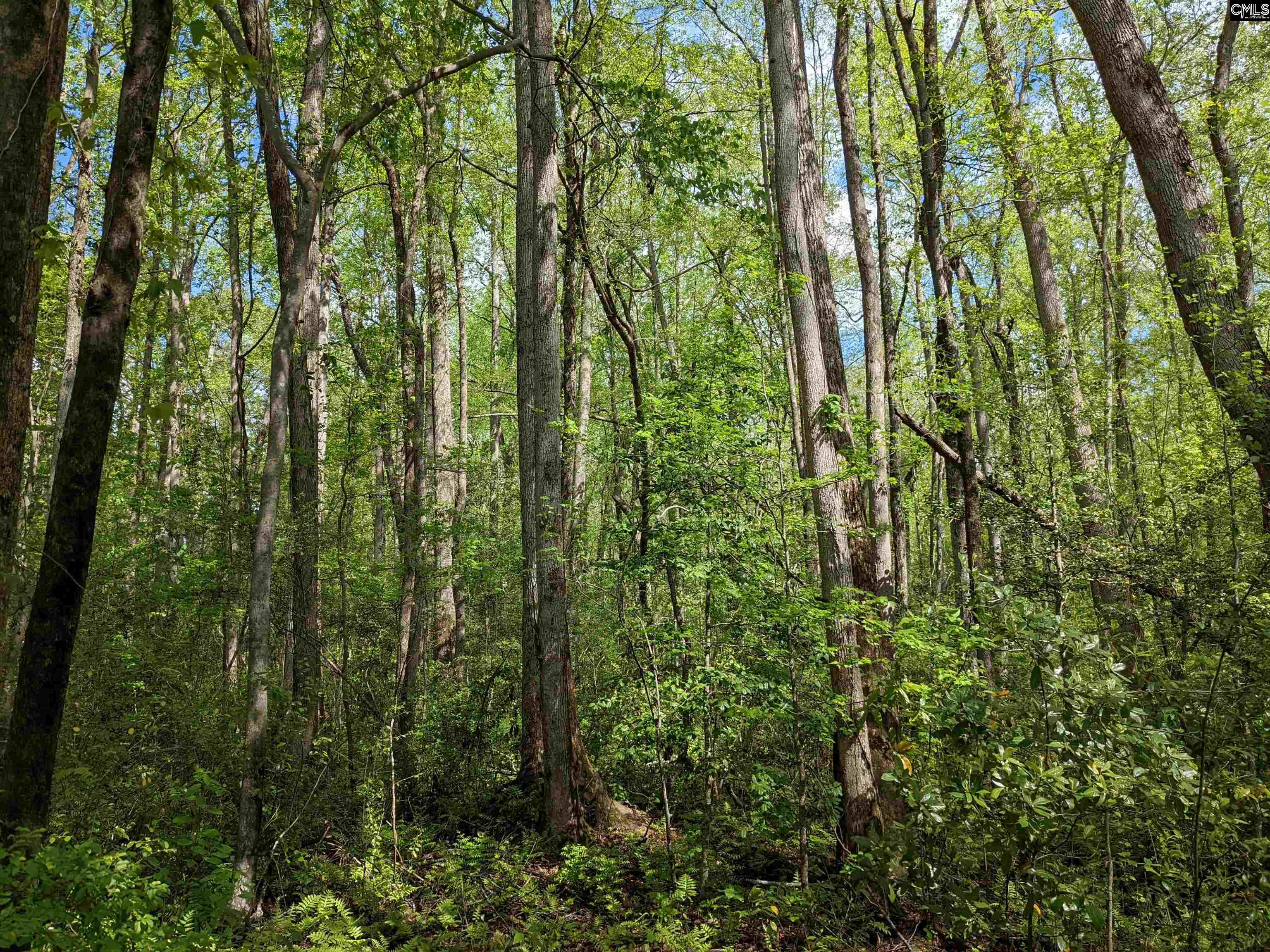 2206 Highway 1 Elgin, SC 29045