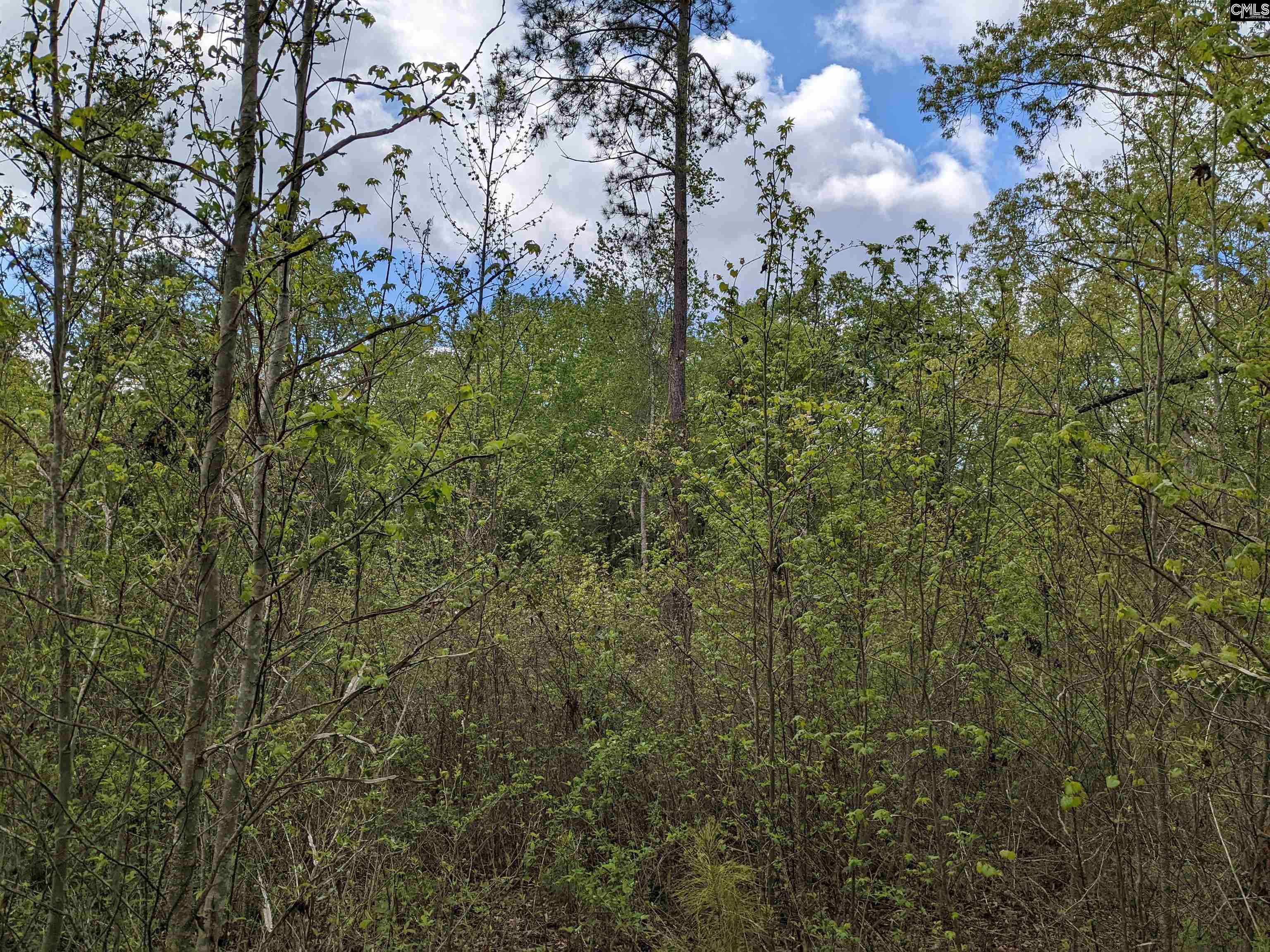 2206 Highway 1 Elgin, SC 29045