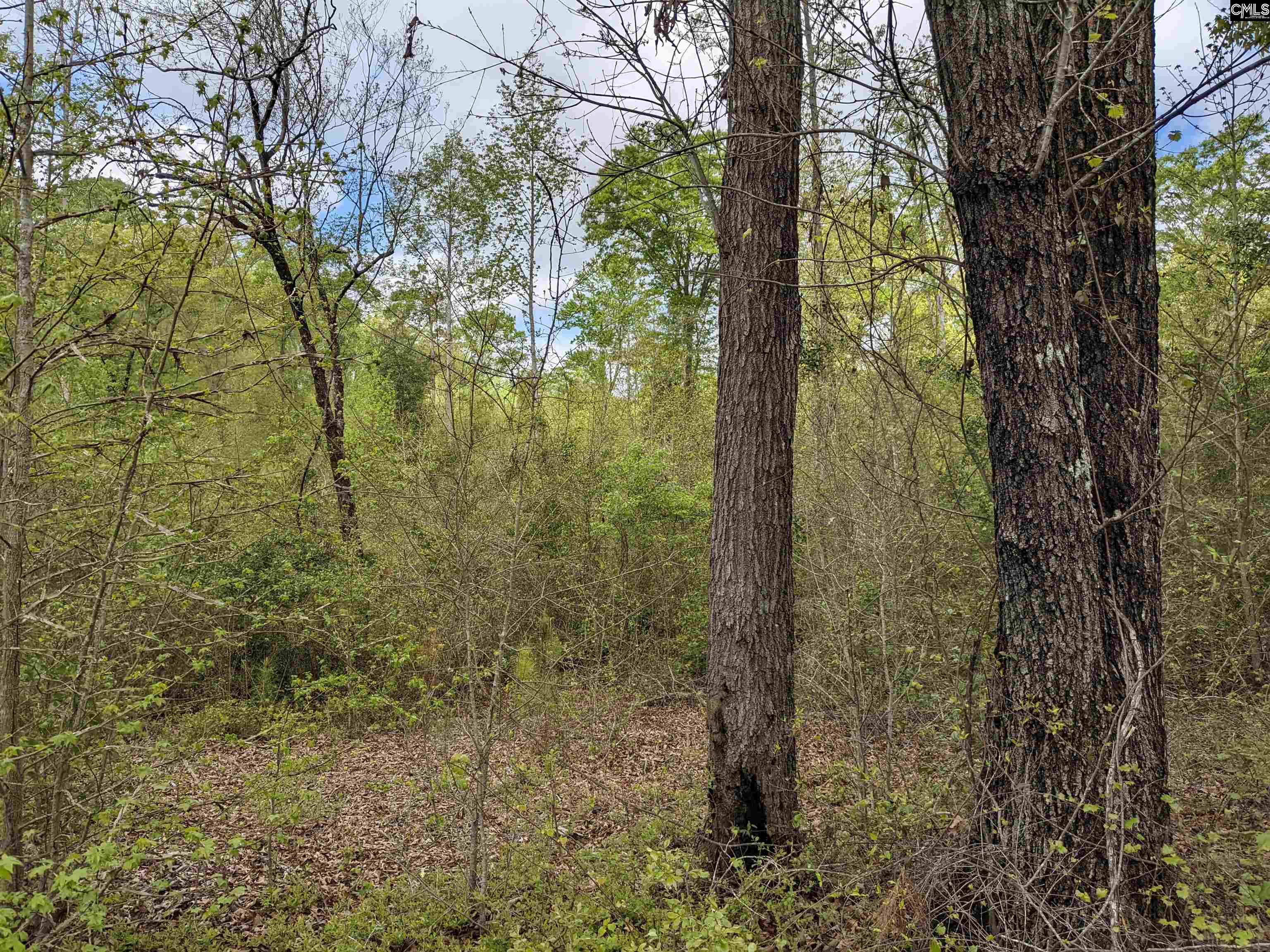 2206 Highway 1 Elgin, SC 29045