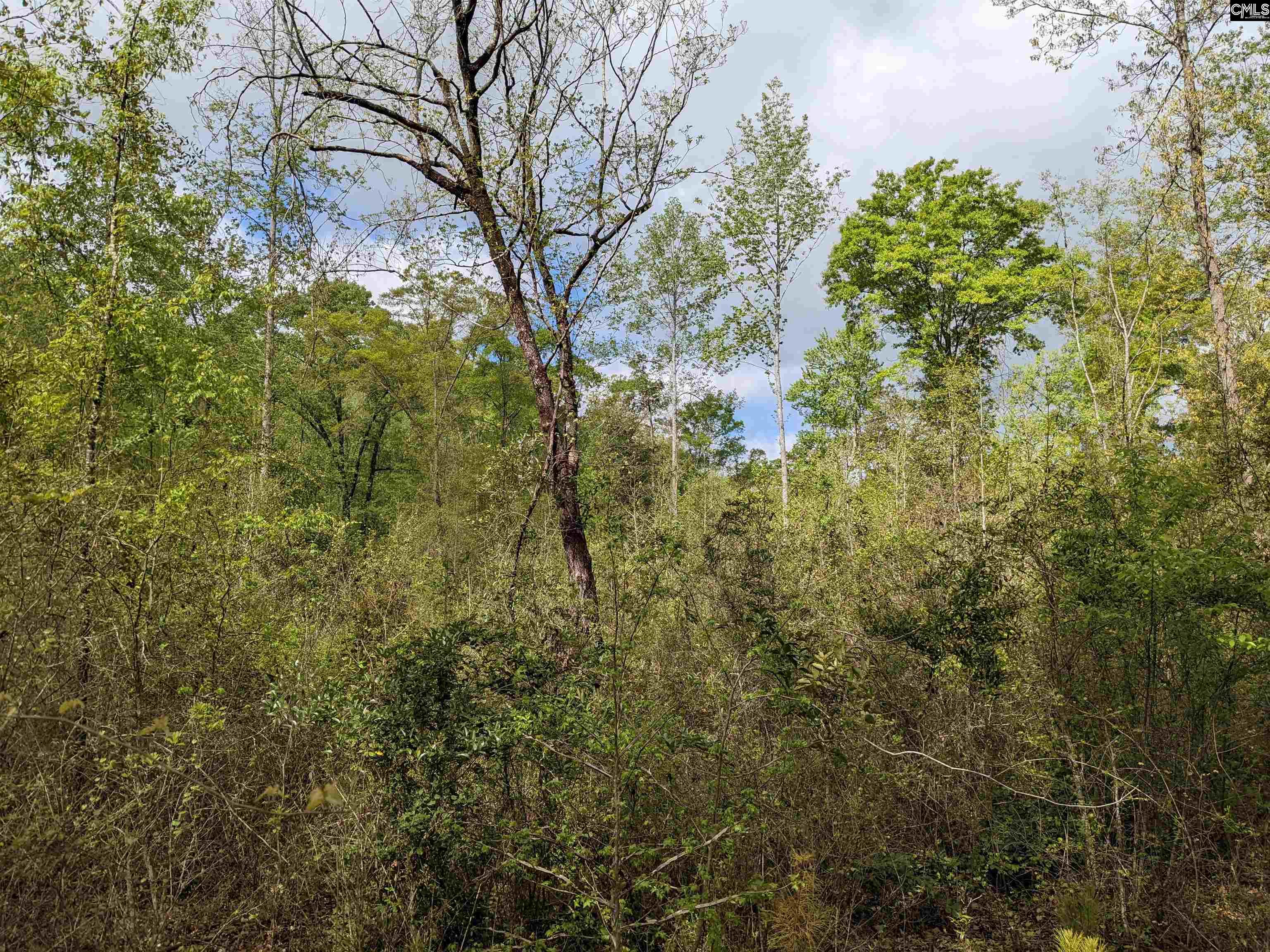 2206 Highway 1 Elgin, SC 29045