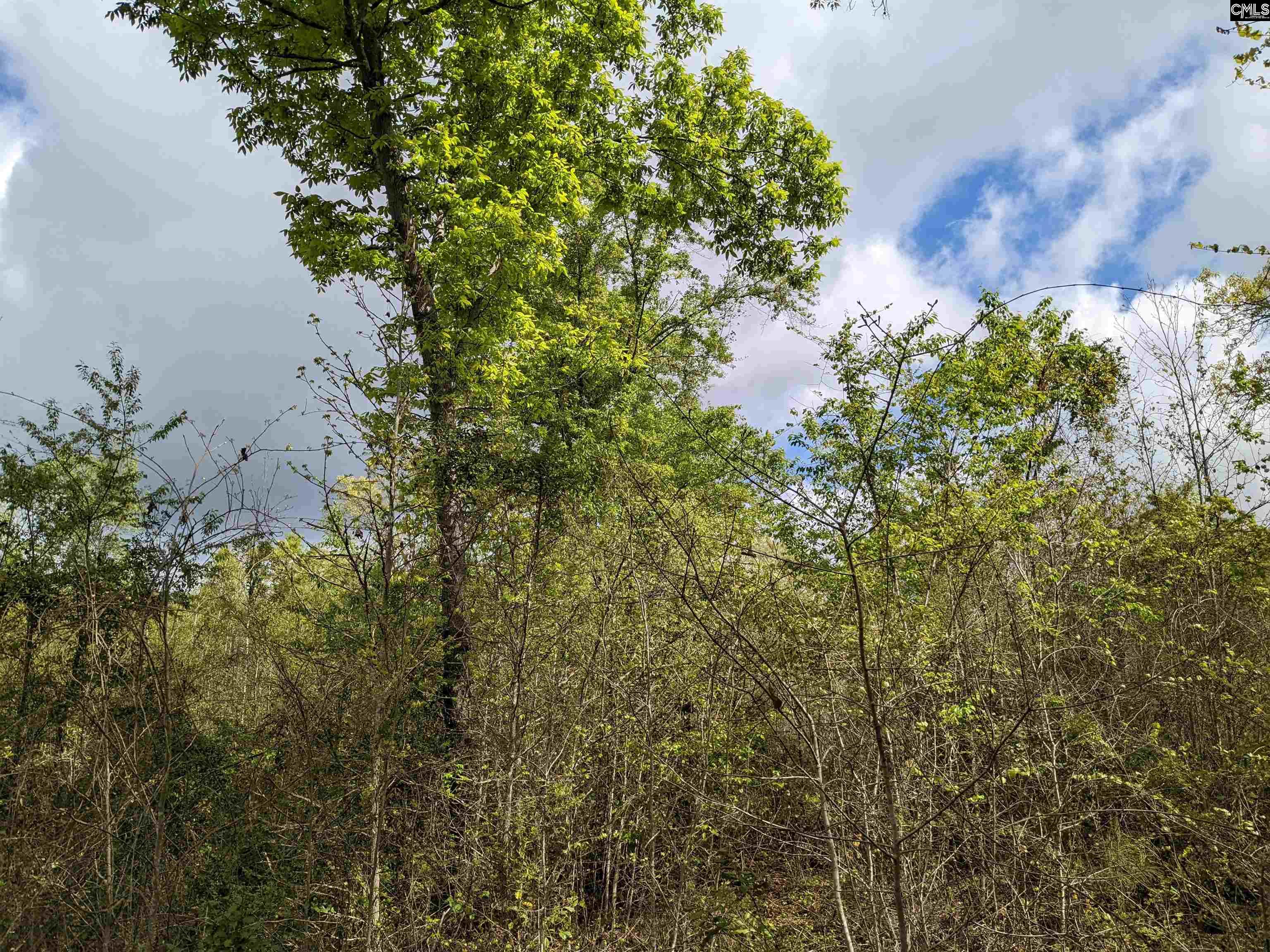 2206 Highway 1 Elgin, SC 29045