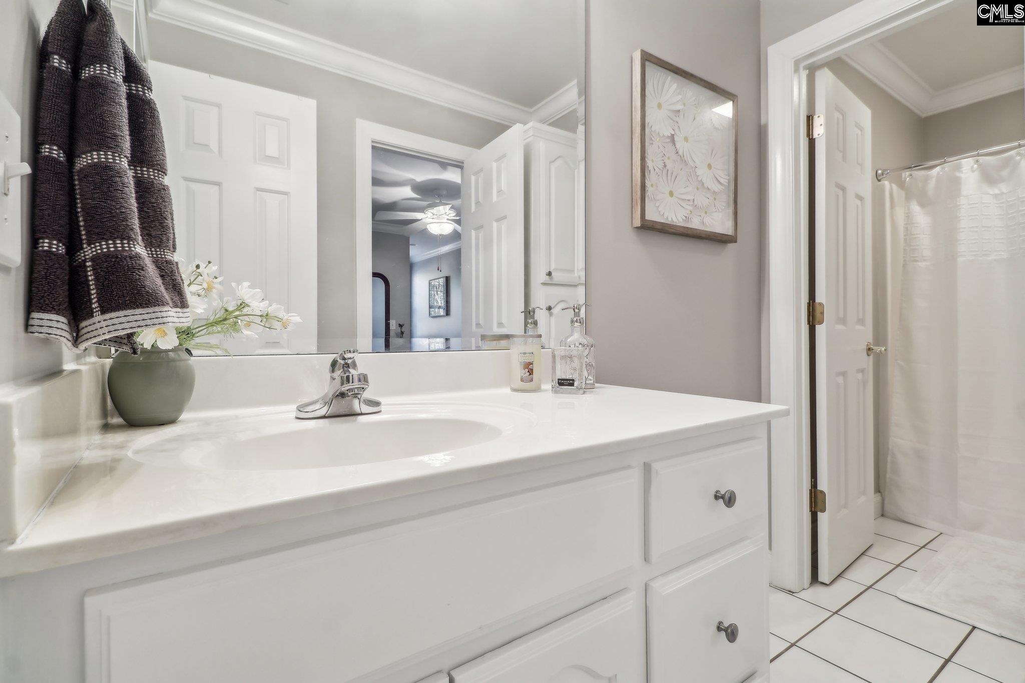 6 Sienna Court Chapin, SC 29036