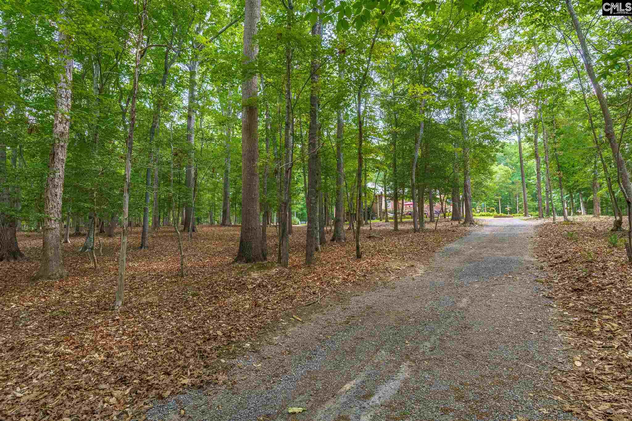 1215 Jake Eargle Road, Little Mountain, South Carolina image 31