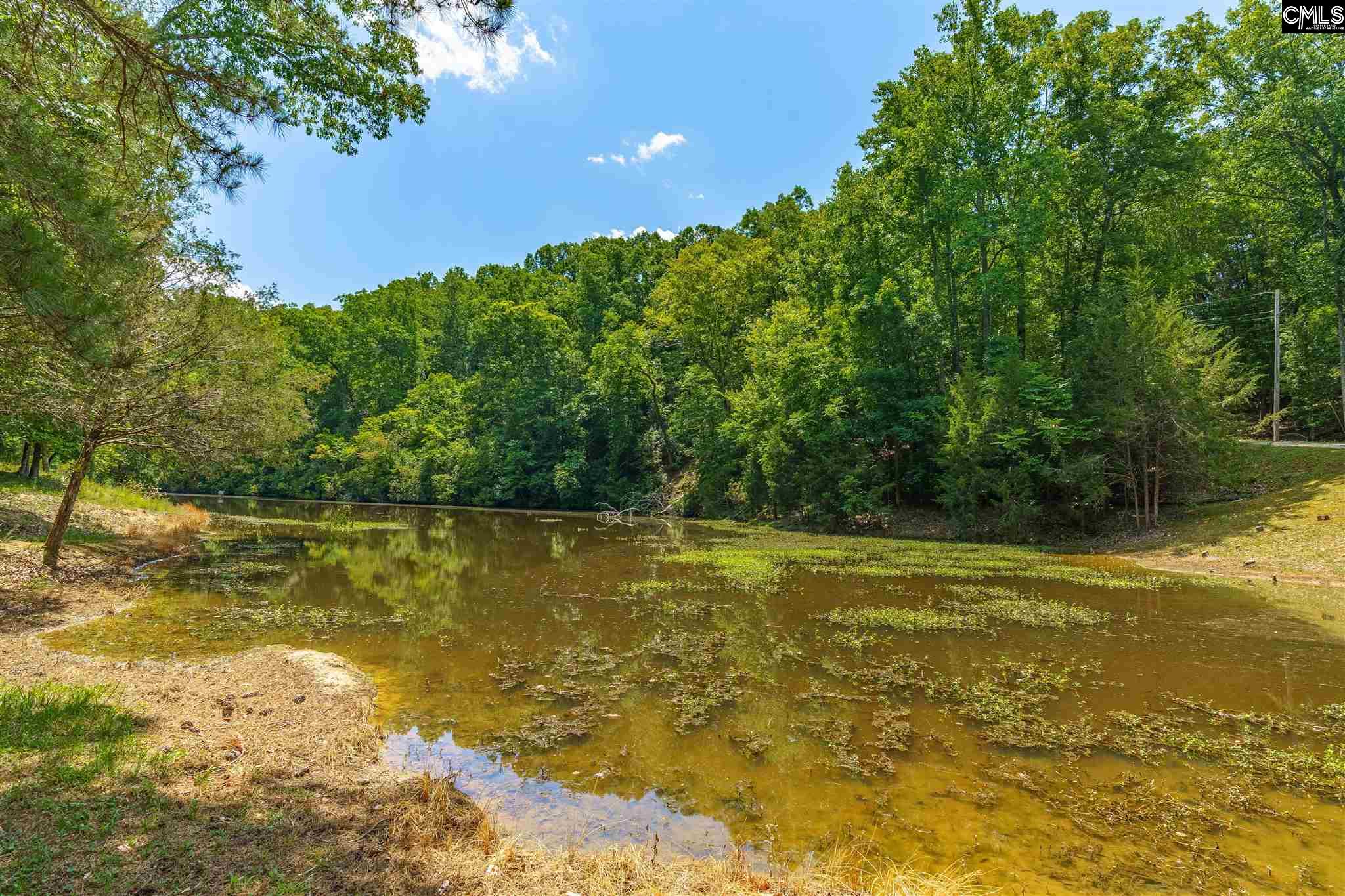 1215 Jake Eargle Road, Little Mountain, South Carolina image 35