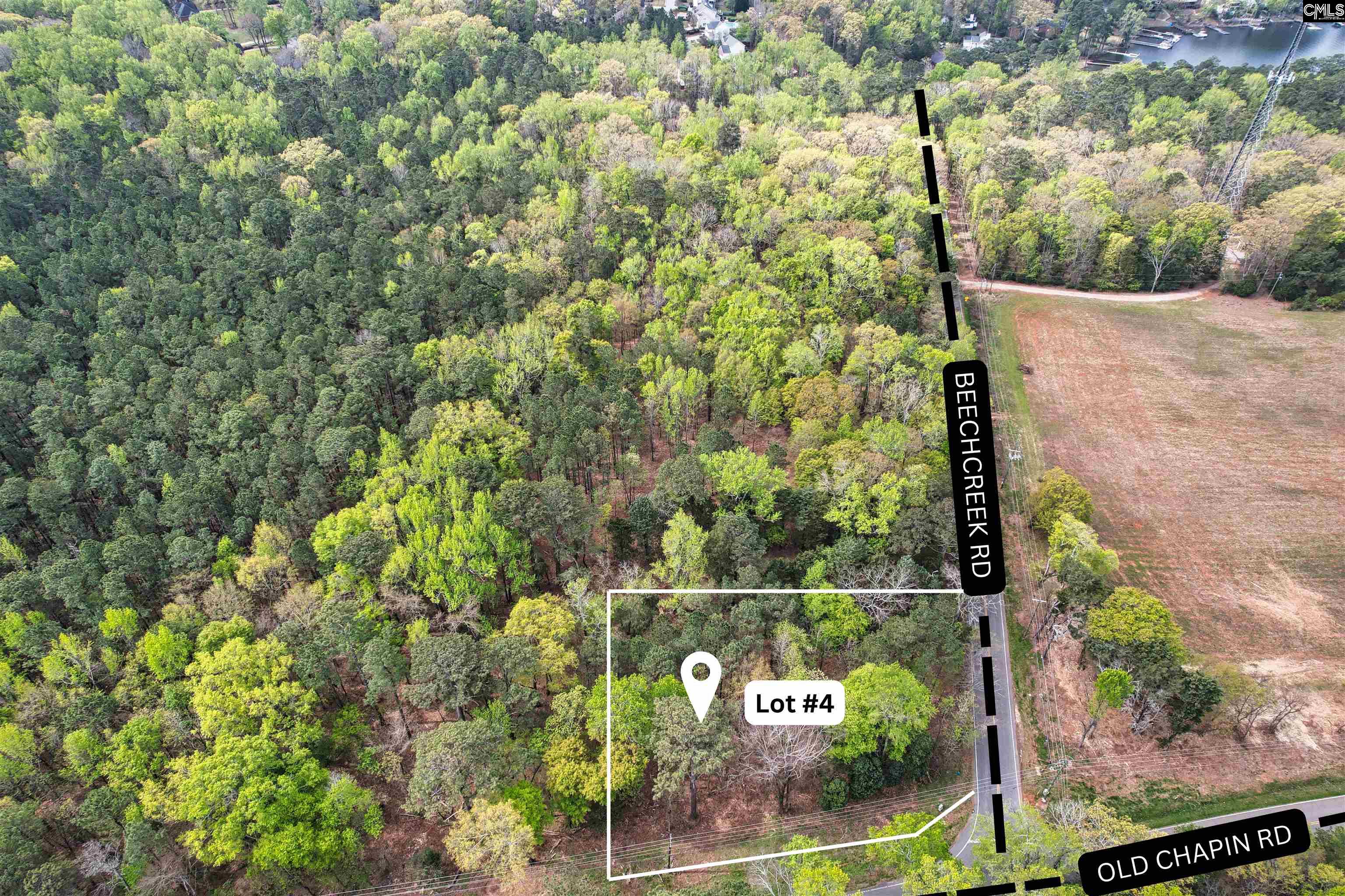 1147 Old Chapin Road, Lexington, South Carolina image 1