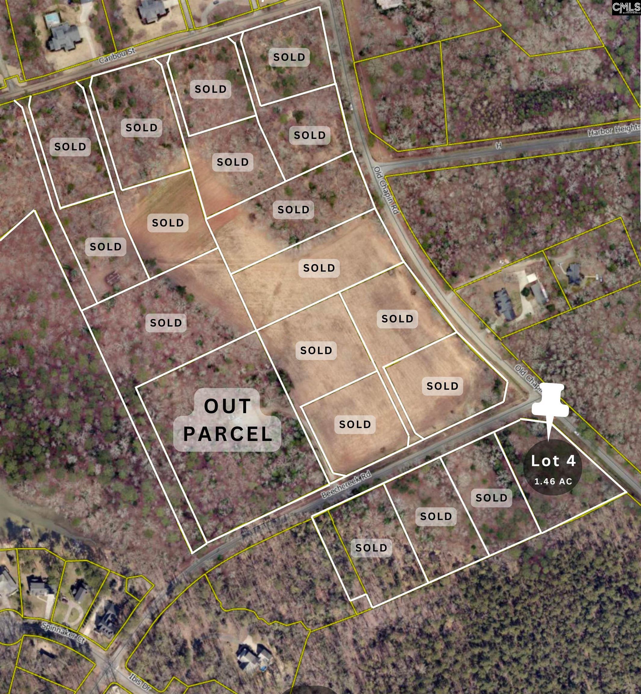 1147 Old Chapin Road, Lexington, South Carolina image 3