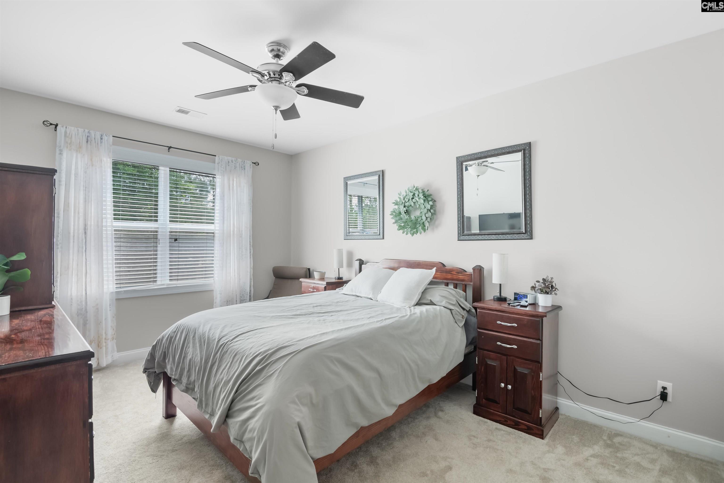 42 Fork Branch Court, Irmo, South Carolina image 23