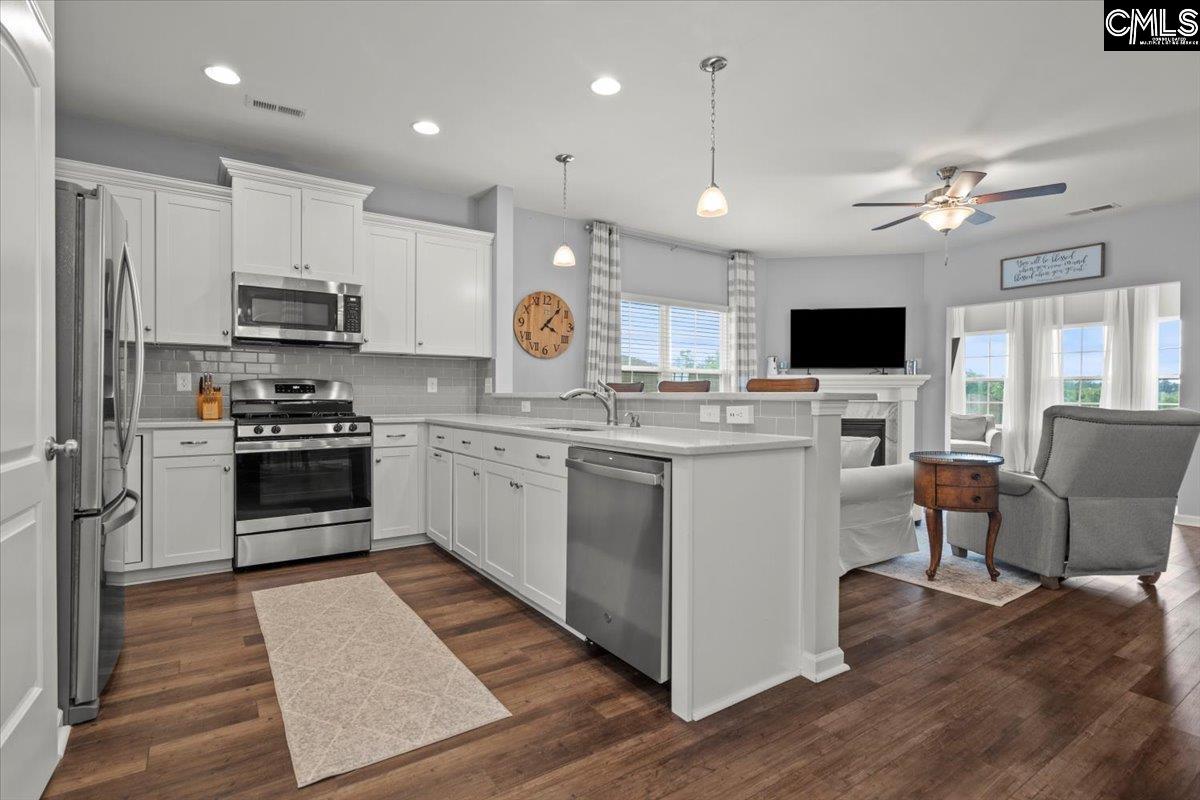1183 Coopers Ridge Lane, Elgin, South Carolina image 4