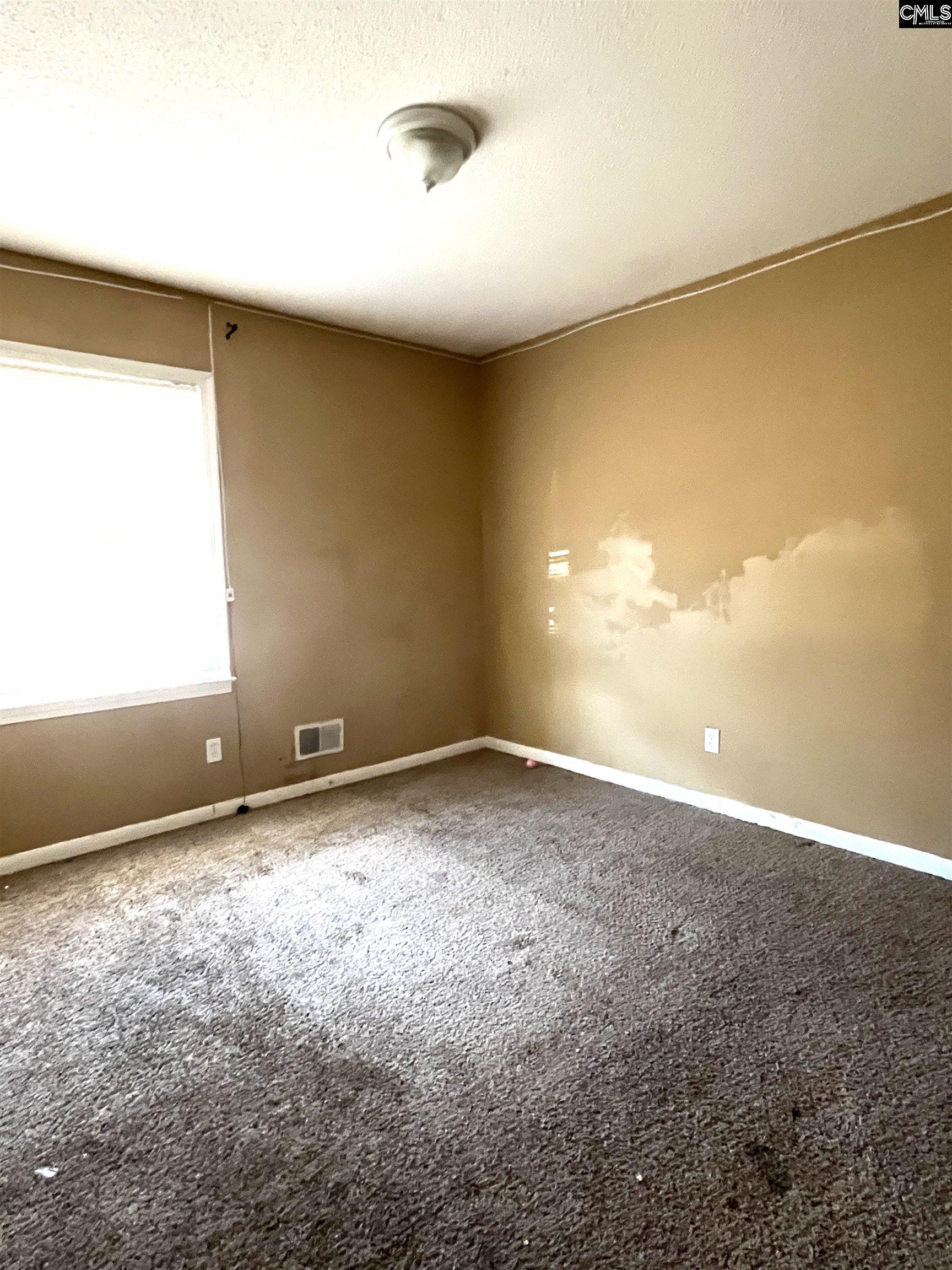 316 Todd Branch Dr Drive Columbia, SC 29223