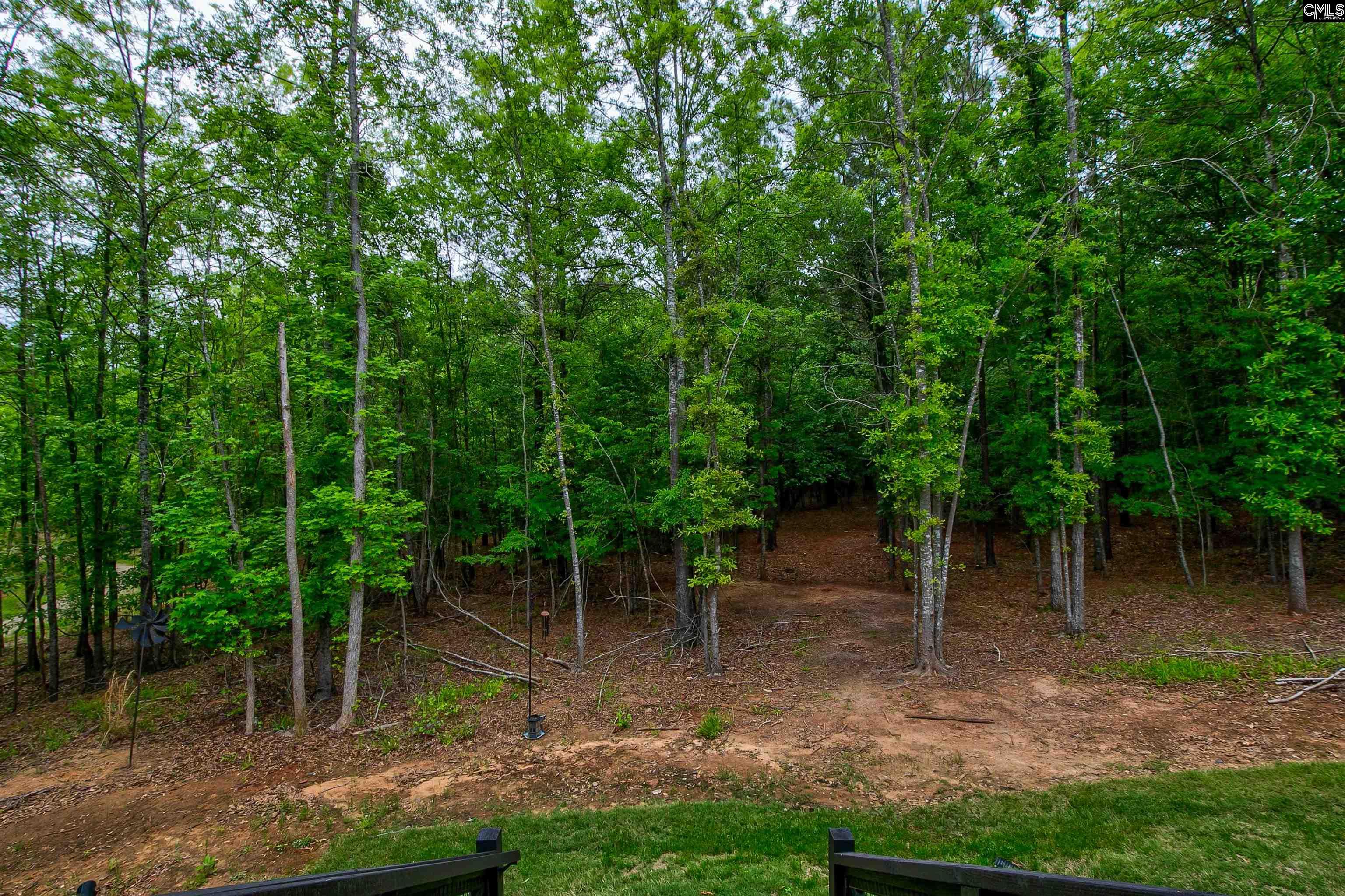 240 Big Water View, Ridgeway, South Carolina image 39