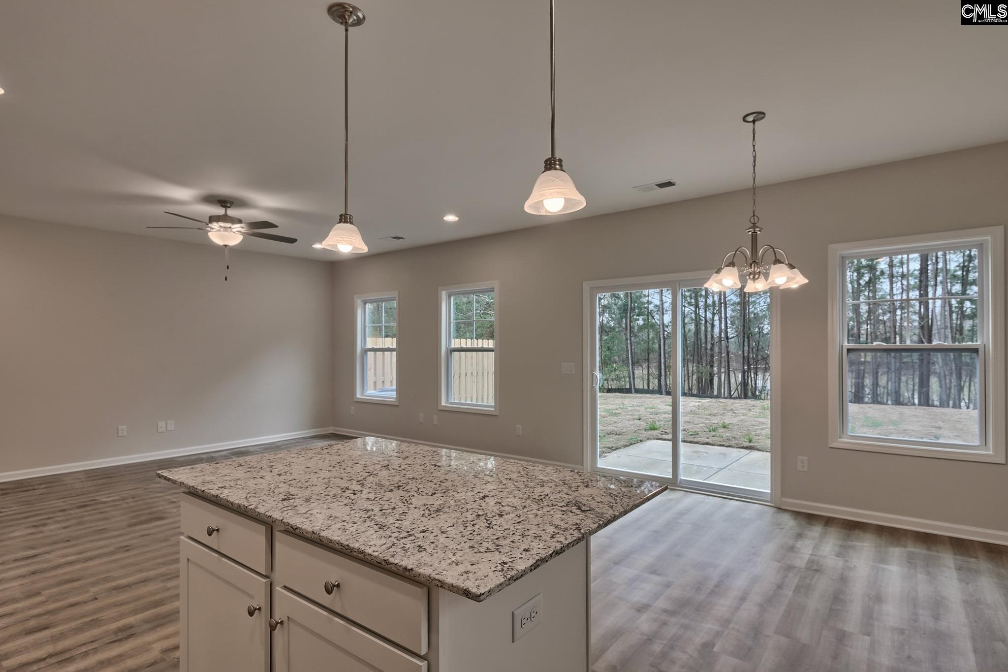 1064 Flat Coat Lane, Chapin, South Carolina image 14