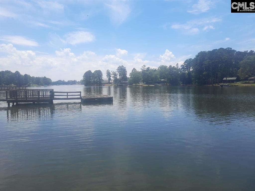 173 Living Inn Court, Prosperity, South Carolina image 2