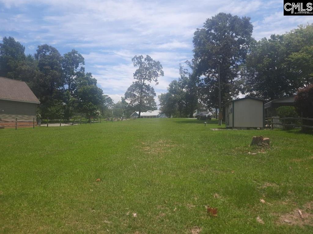 173 Living Inn Court, Prosperity, South Carolina image 10