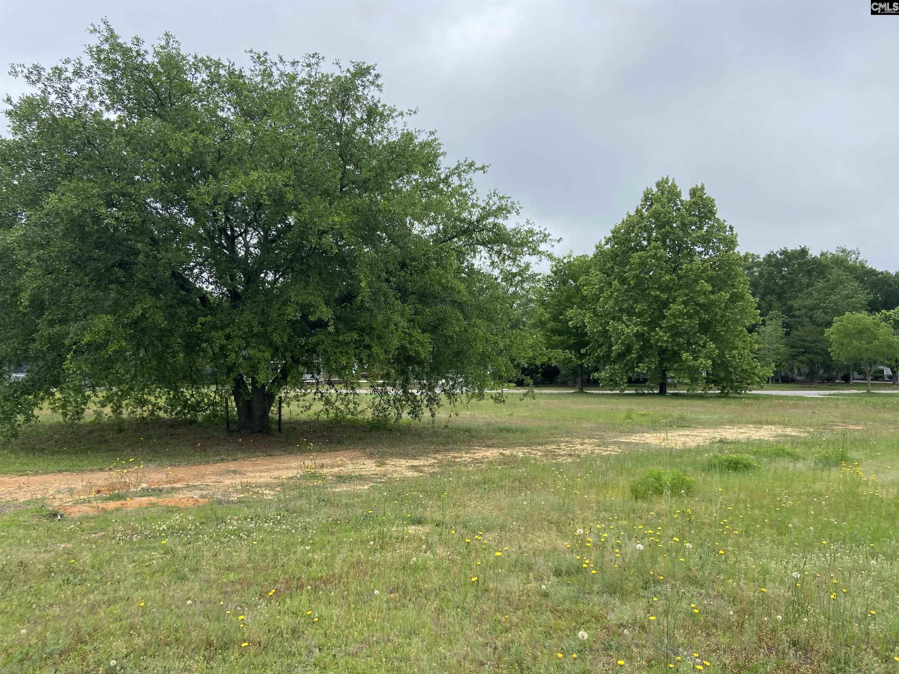 1313 Fair Street Camden, SC 29020-0000