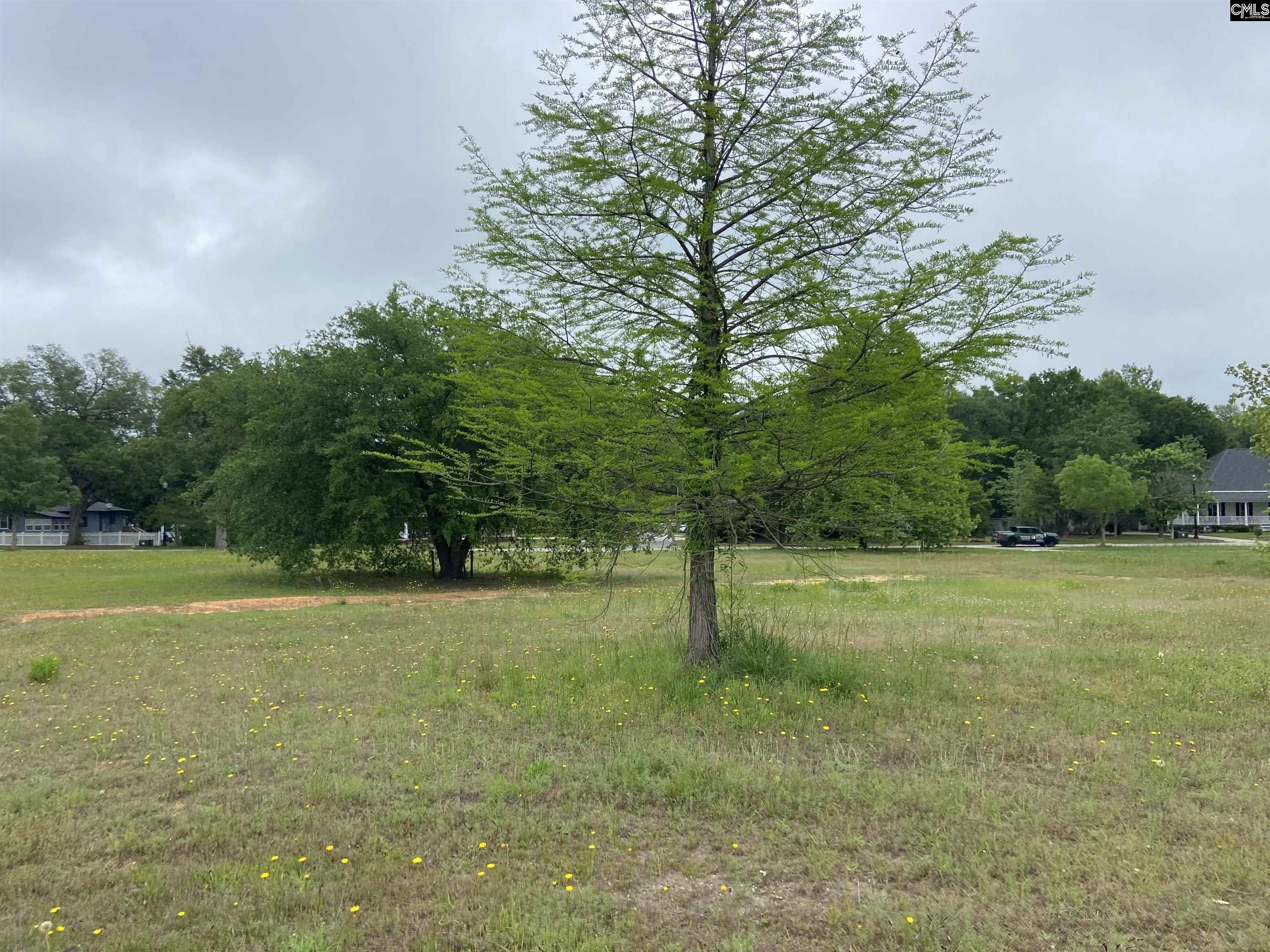 1313 Fair Street Camden, SC 29020-0000