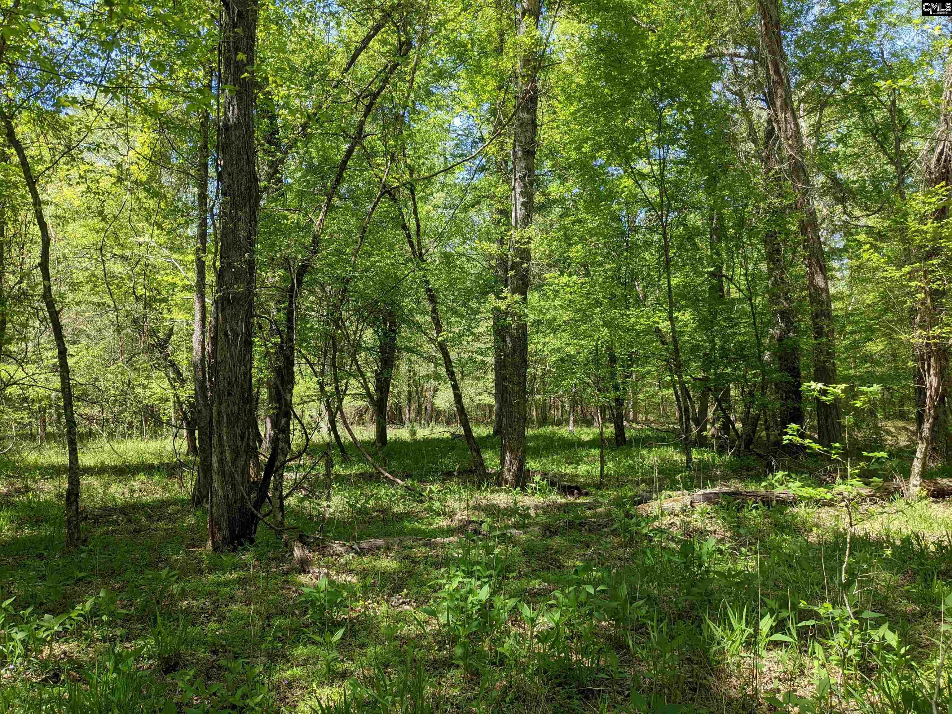 Old Hillcrest School Road, Winnsboro, South Carolina image 12