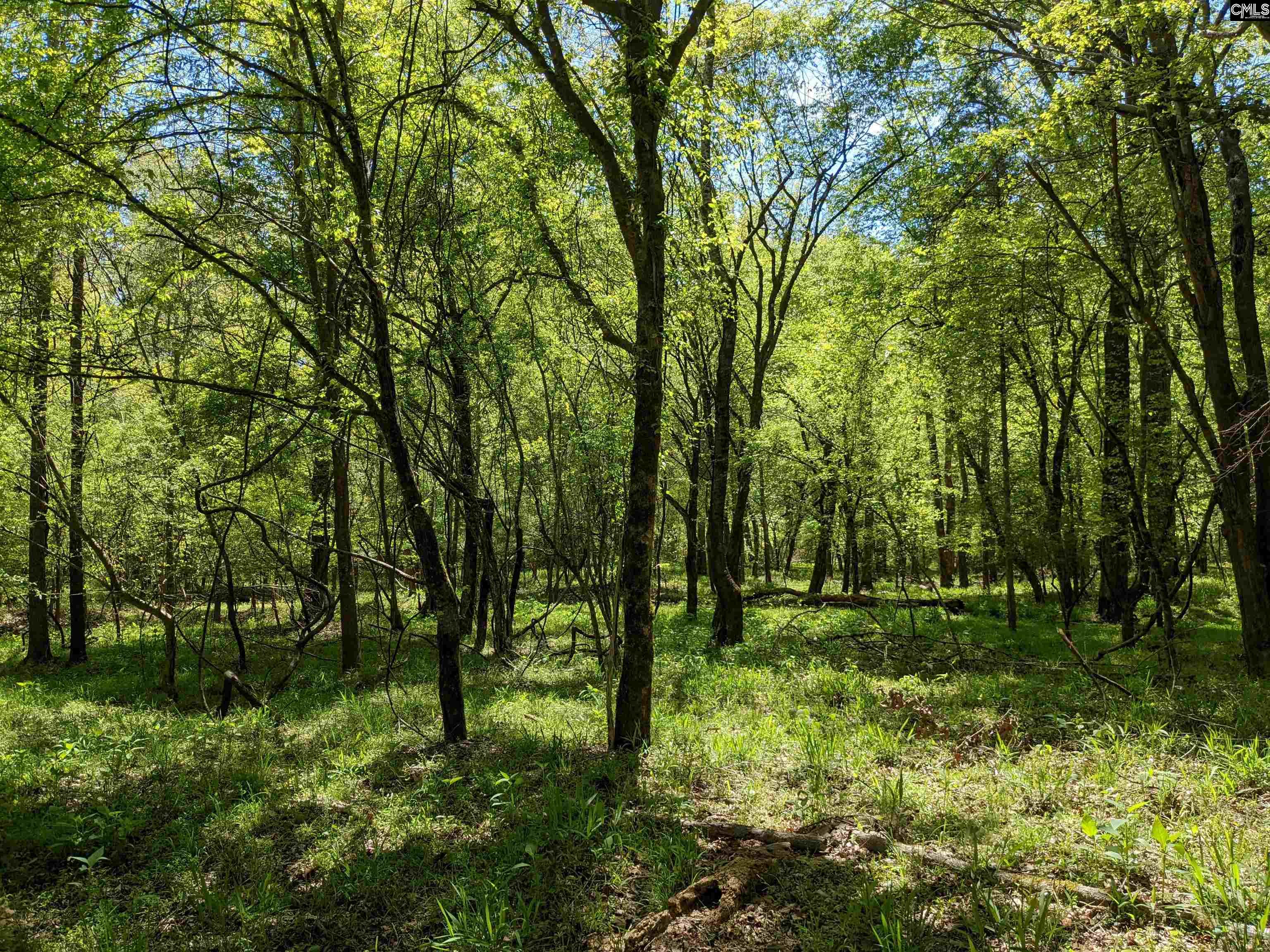 Old Hillcrest School Road, Winnsboro, South Carolina image 17