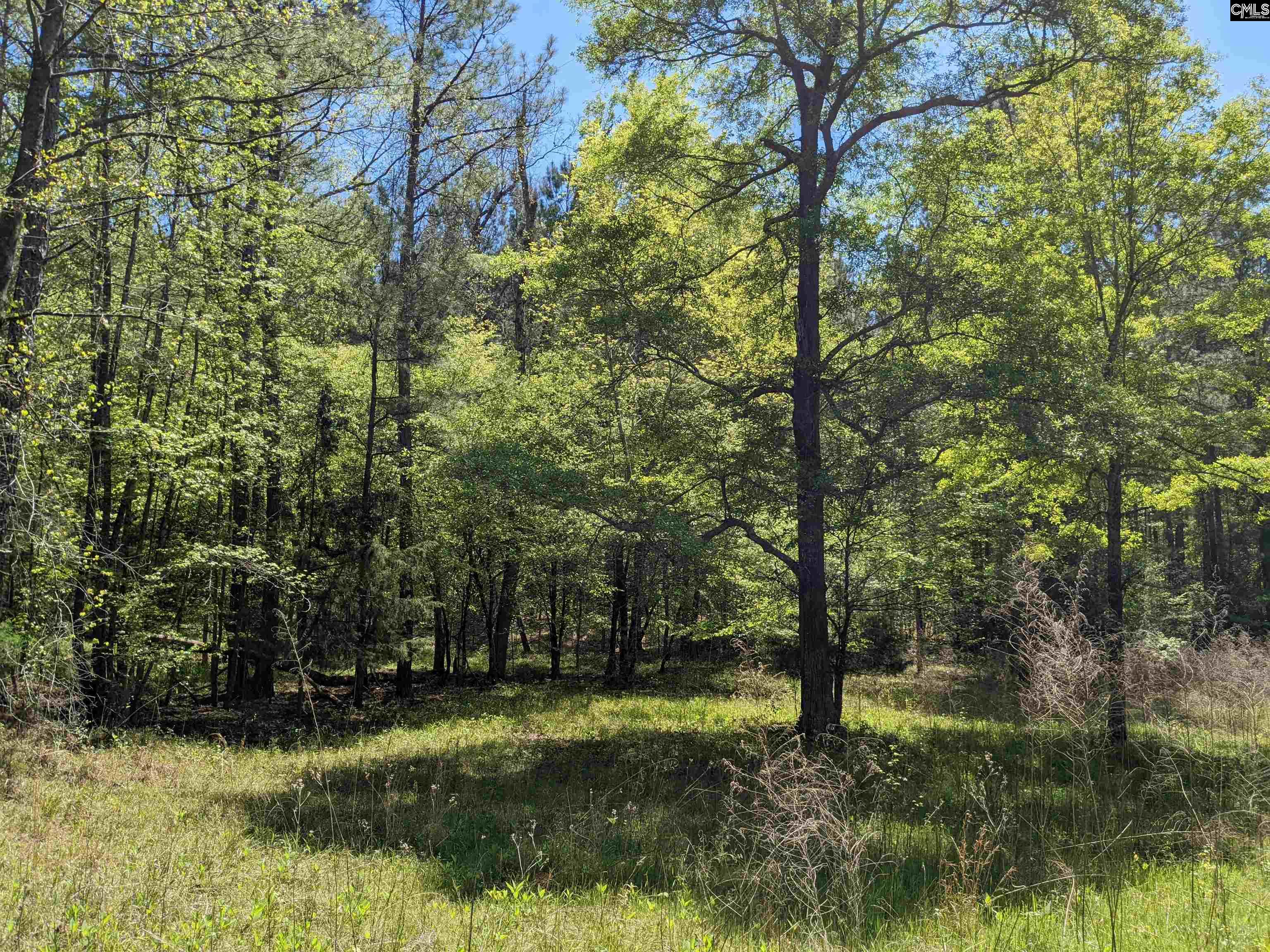 Old Hillcrest School Road, Winnsboro, South Carolina image 19