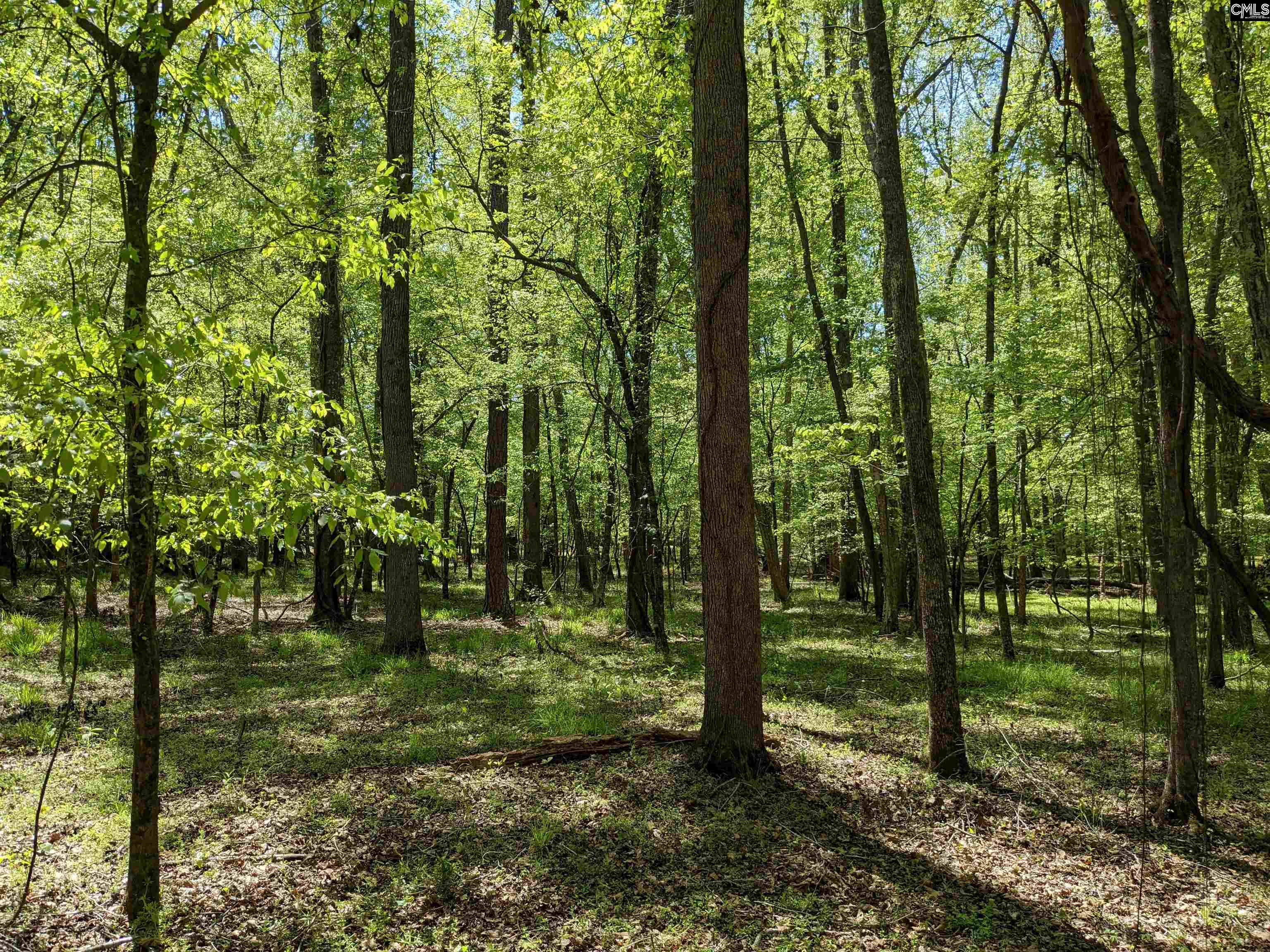 Old Hillcrest School Road, Winnsboro, South Carolina image 21