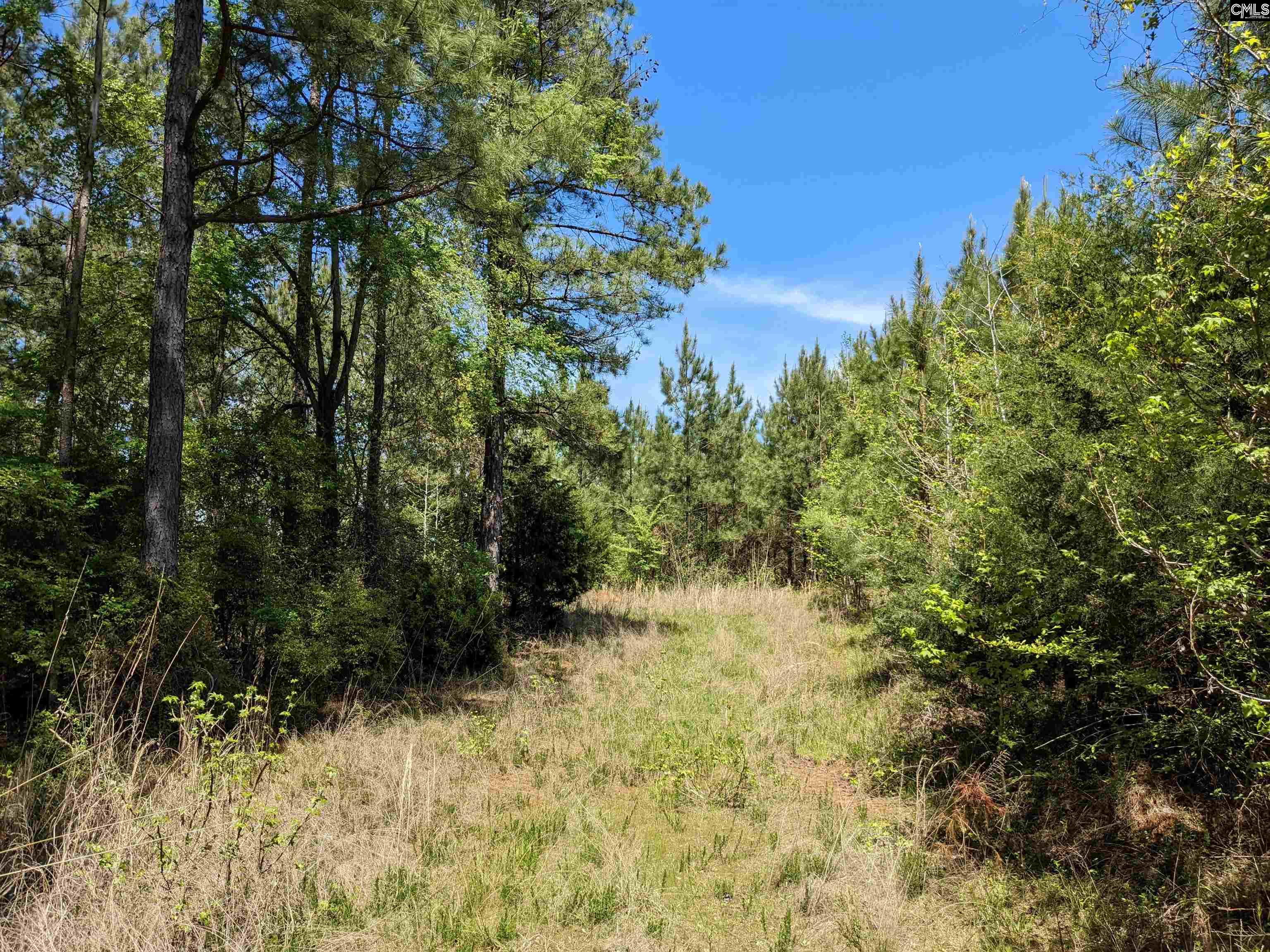 Old Hillcrest School Road, Winnsboro, South Carolina image 22