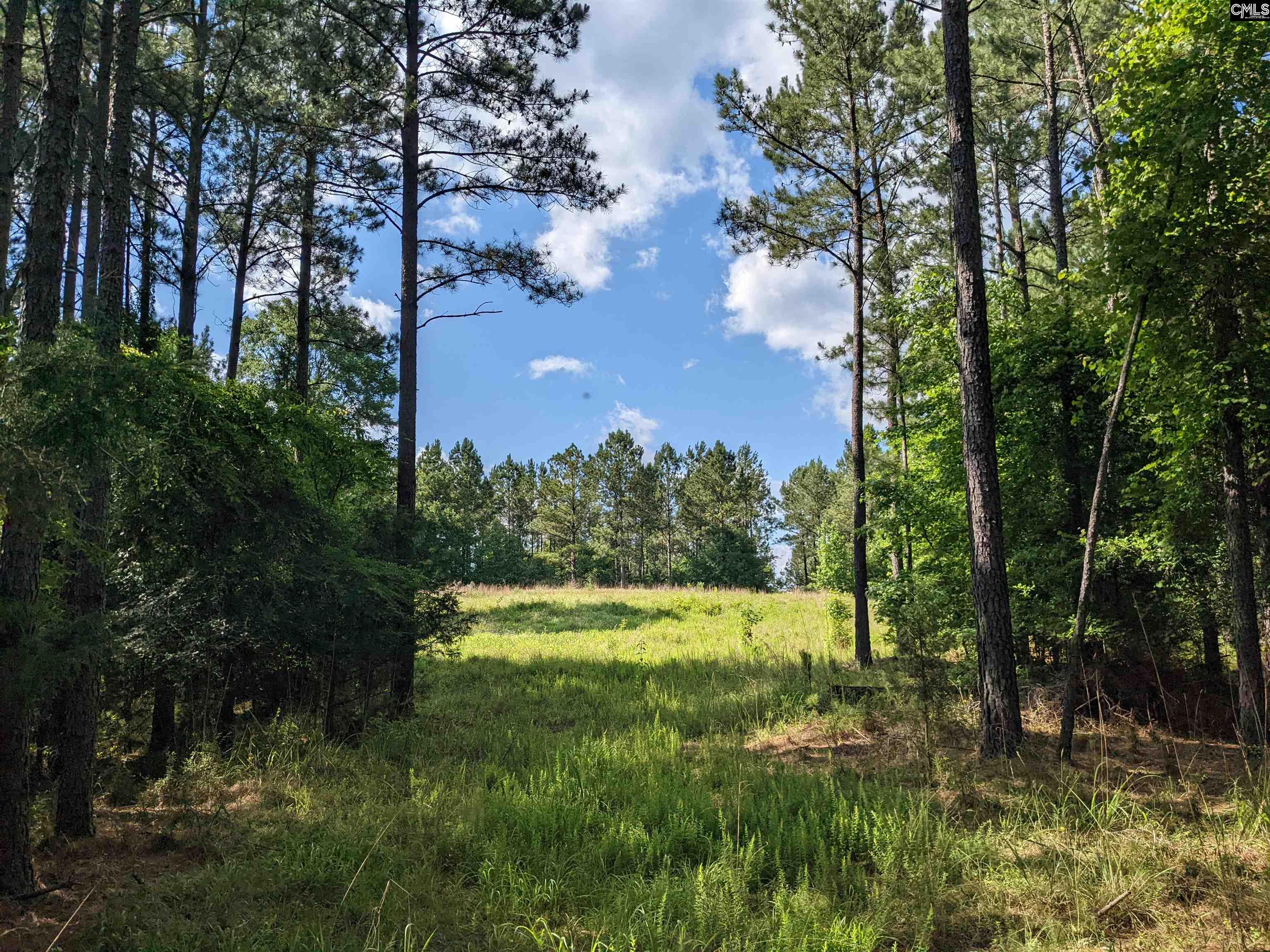 Old Hillcrest School Road Winnsboro, SC 29180