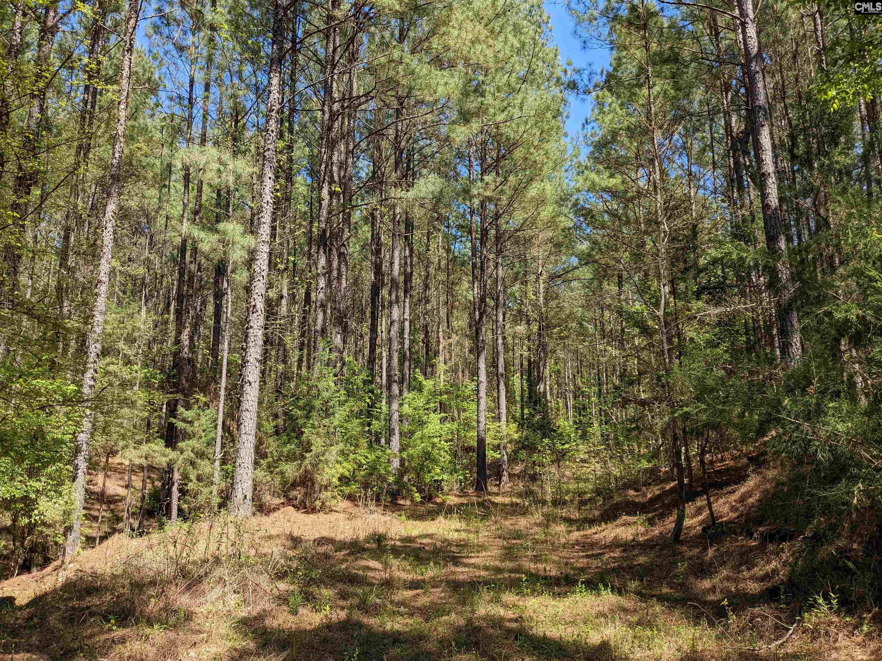 Old Hillcrest School Road, Winnsboro, South Carolina image 27
