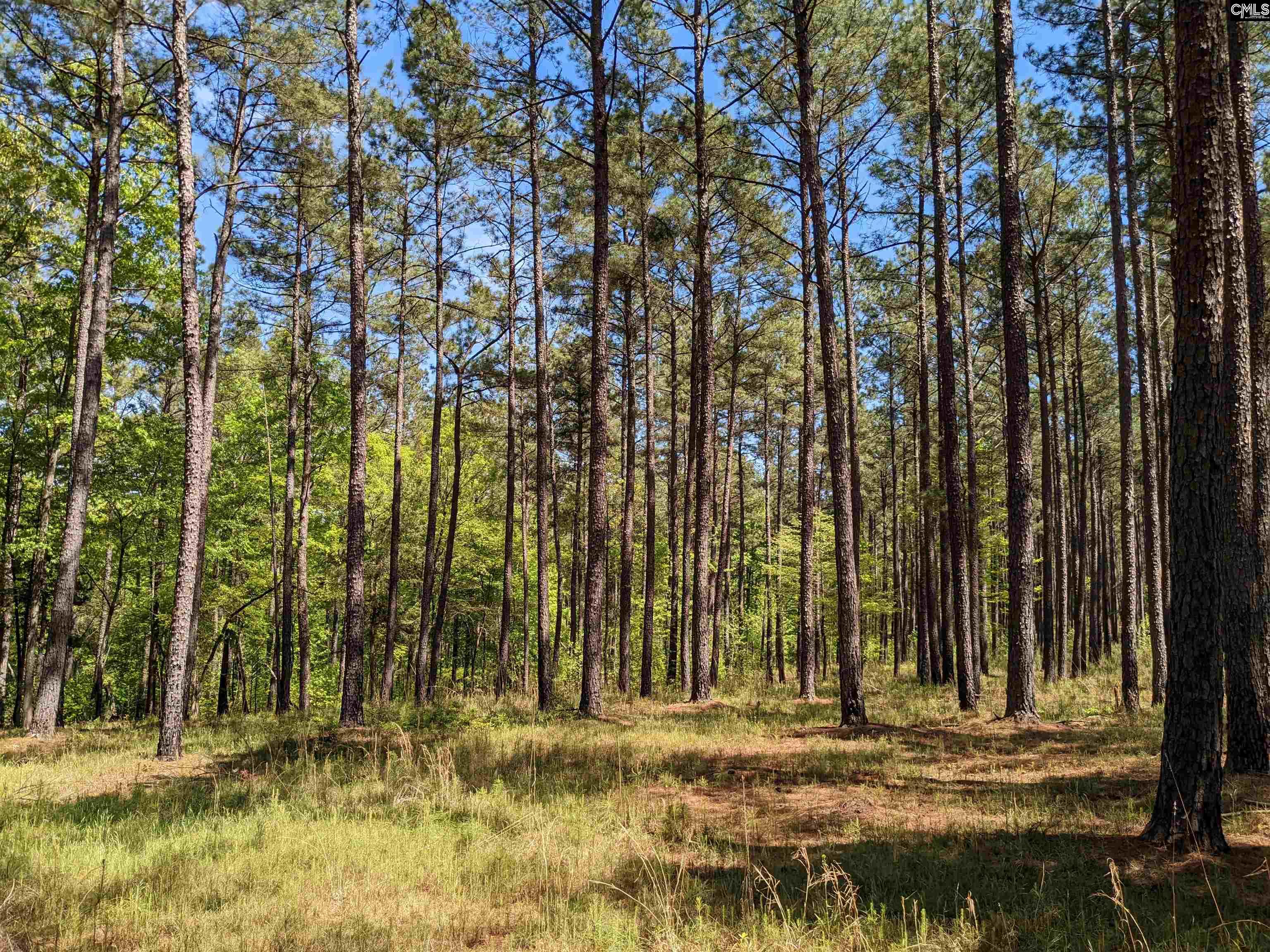 Old Hillcrest School Road, Winnsboro, South Carolina image 32