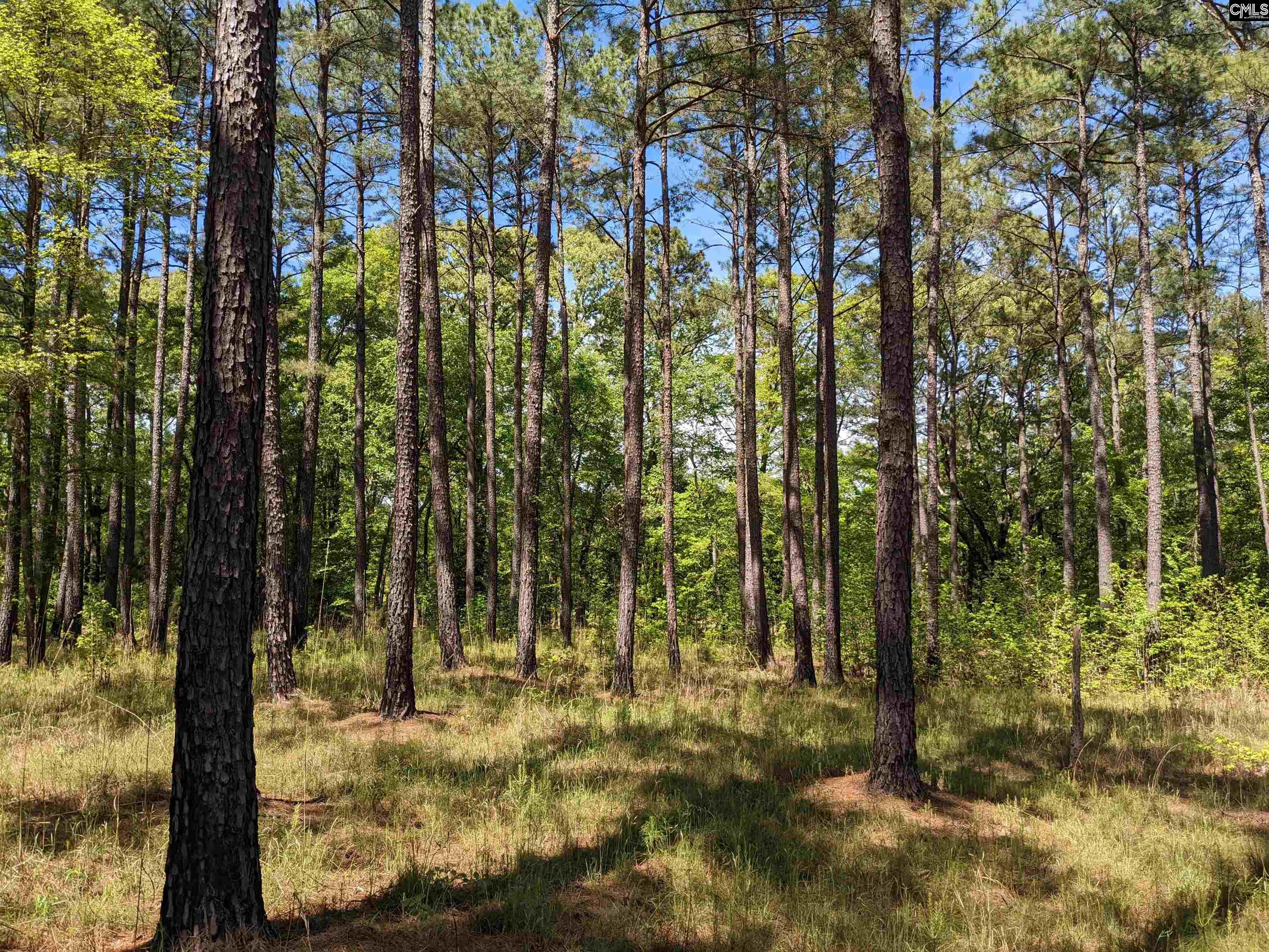 Old Hillcrest School Road, Winnsboro, South Carolina image 33