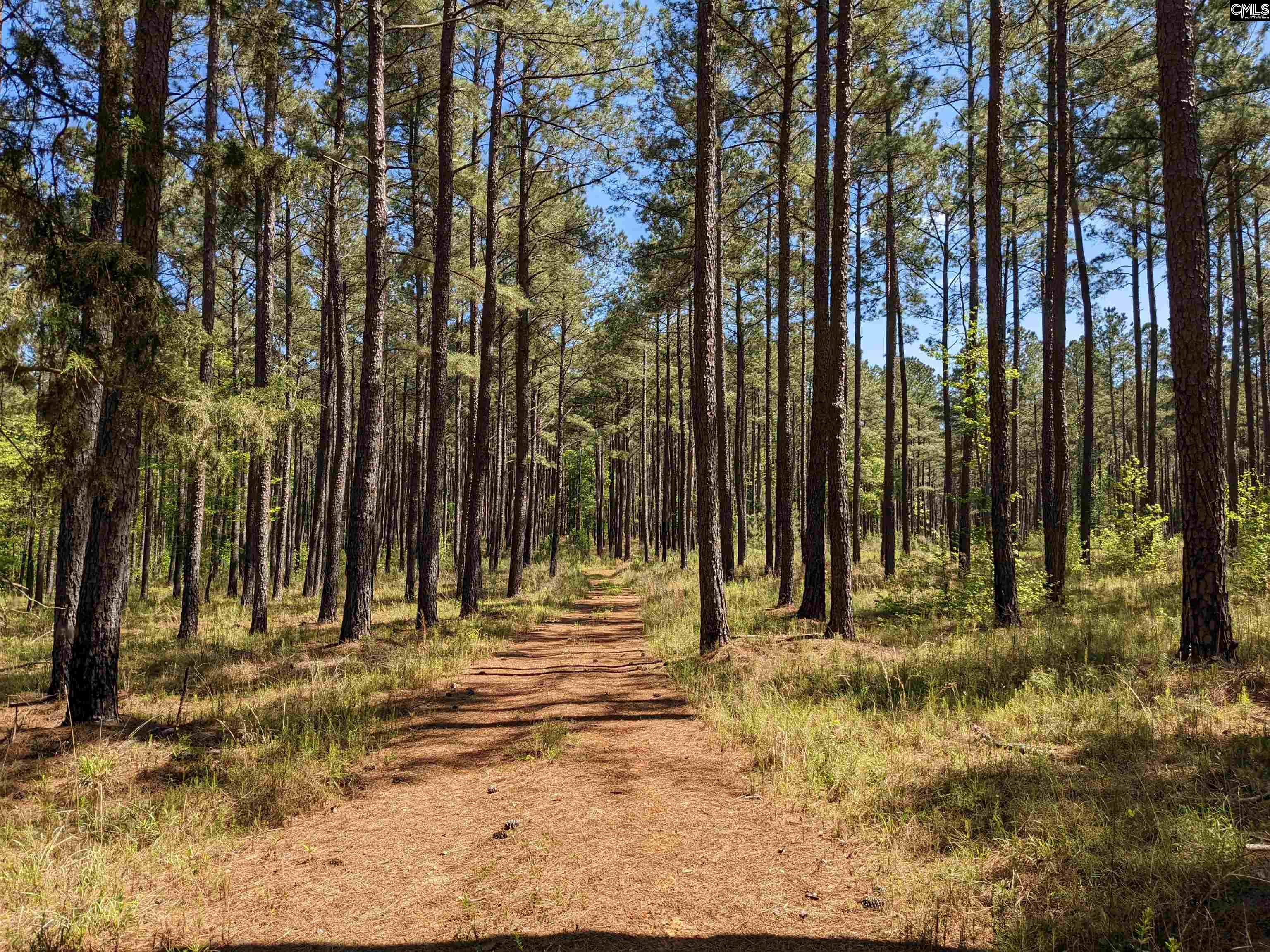 Old Hillcrest School Road, Winnsboro, South Carolina image 34