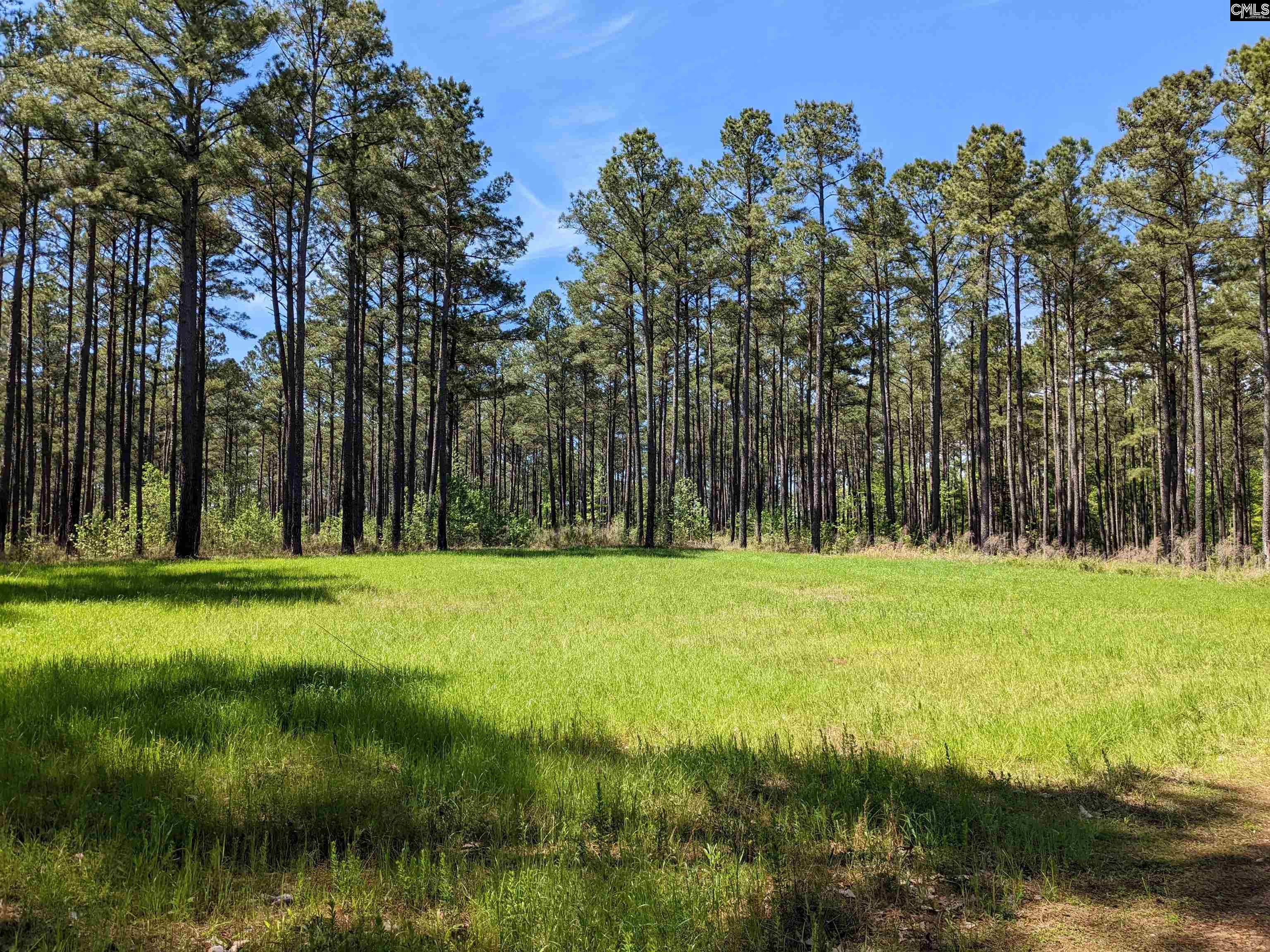 Old Hillcrest School Road, Winnsboro, South Carolina image 35