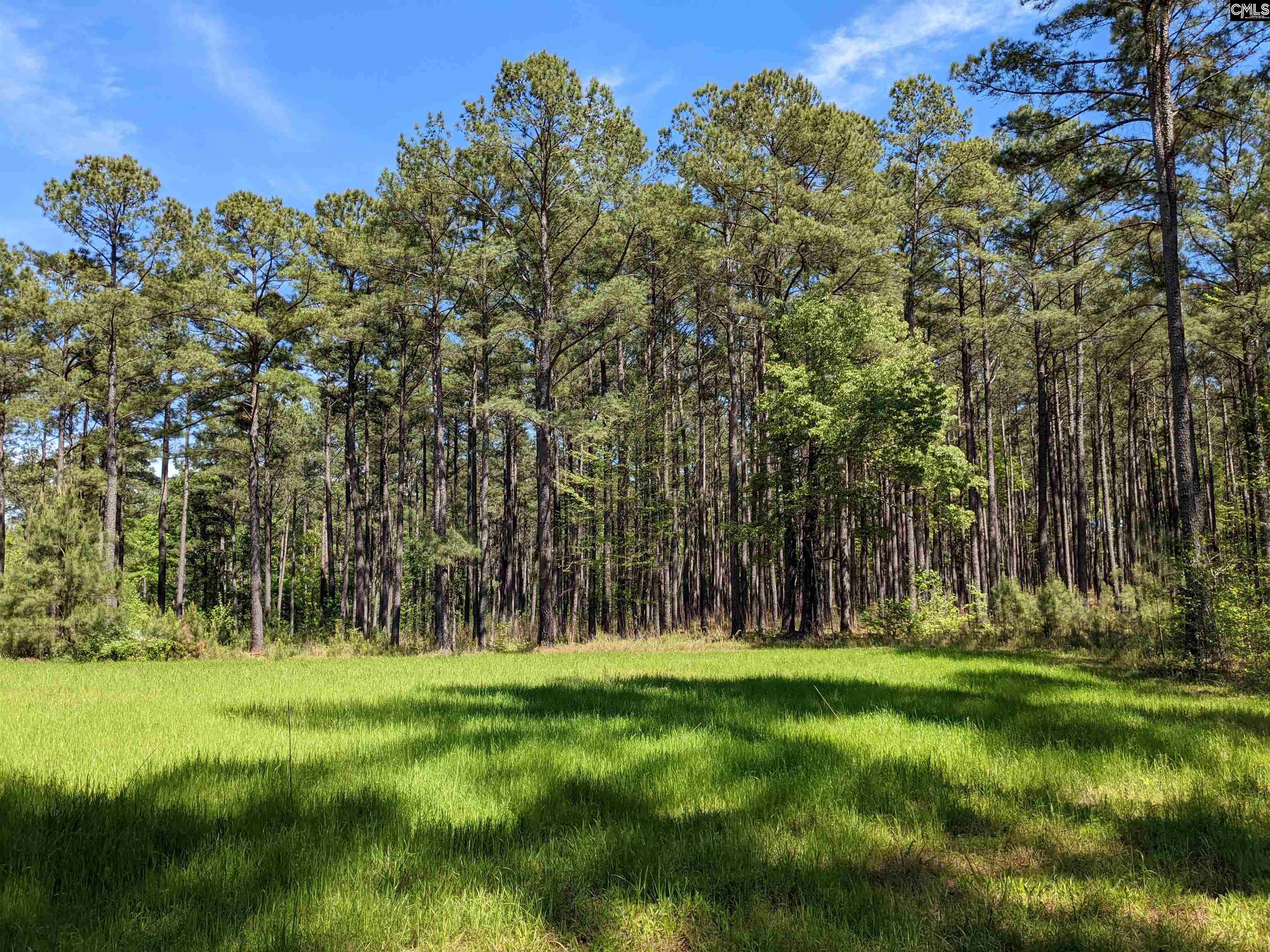 Old Hillcrest School Road, Winnsboro, South Carolina image 36