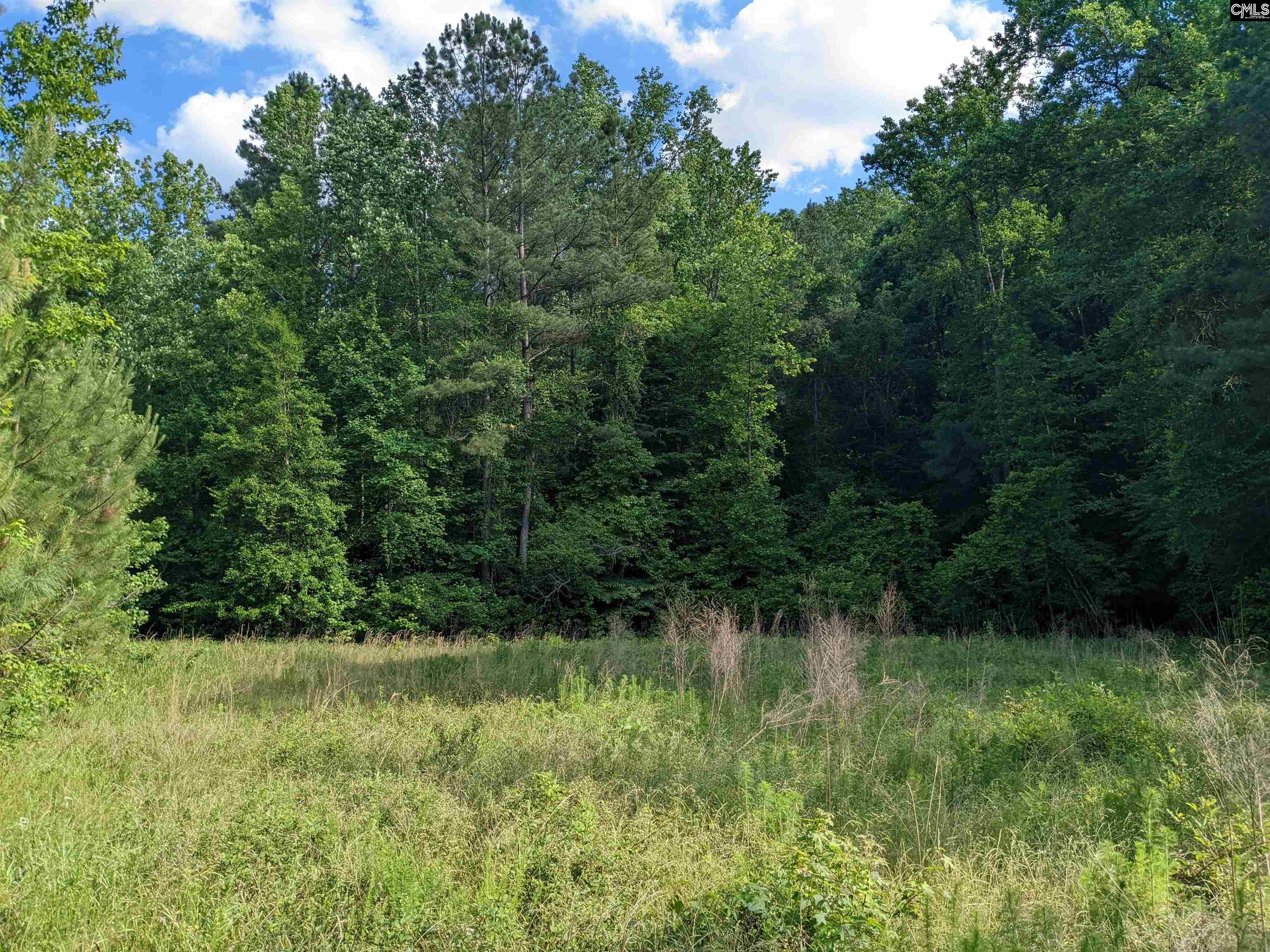 Old Hillcrest School Road Winnsboro, SC 29180
