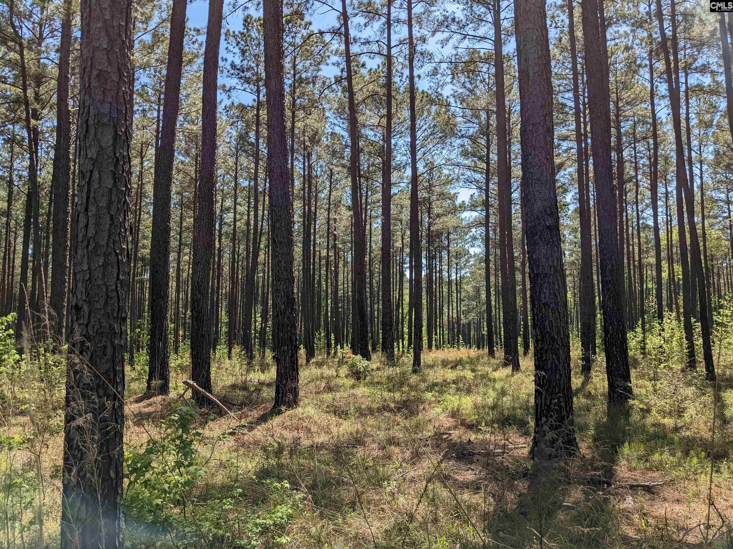 Old Hillcrest School Road, Winnsboro, South Carolina image 38