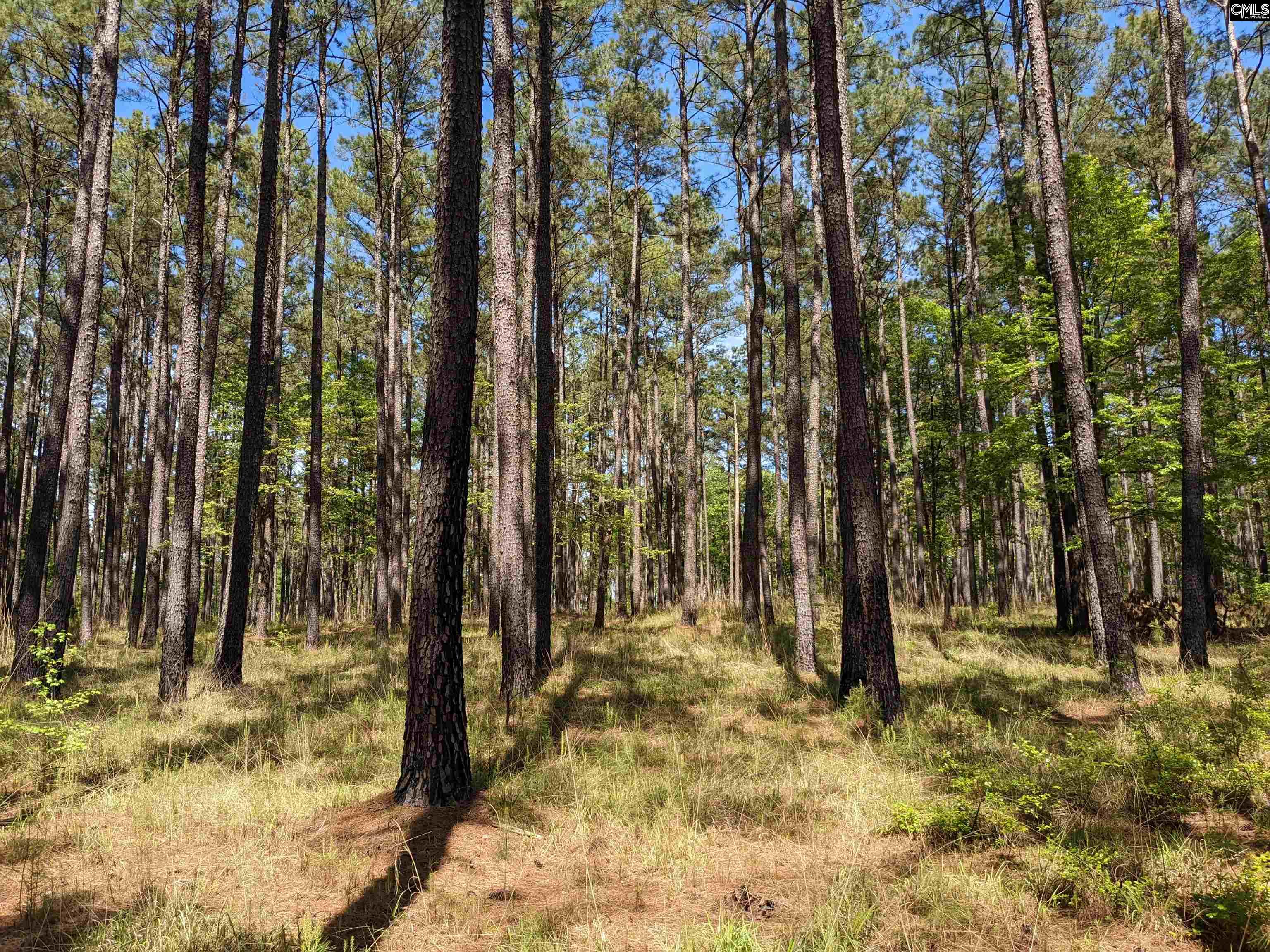Old Hillcrest School Road, Winnsboro, South Carolina image 39