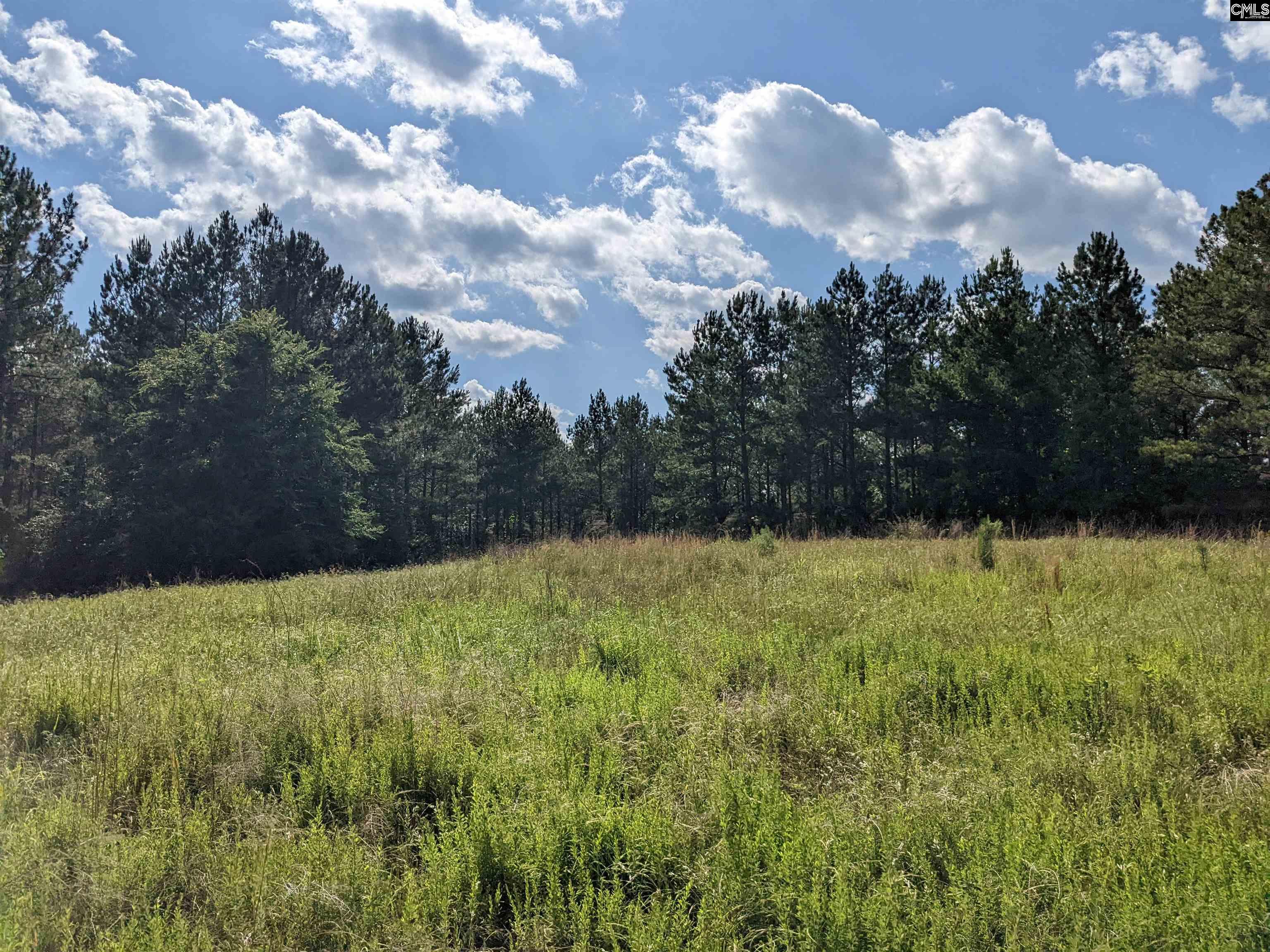 Old Hillcrest School Road Winnsboro, SC 29180