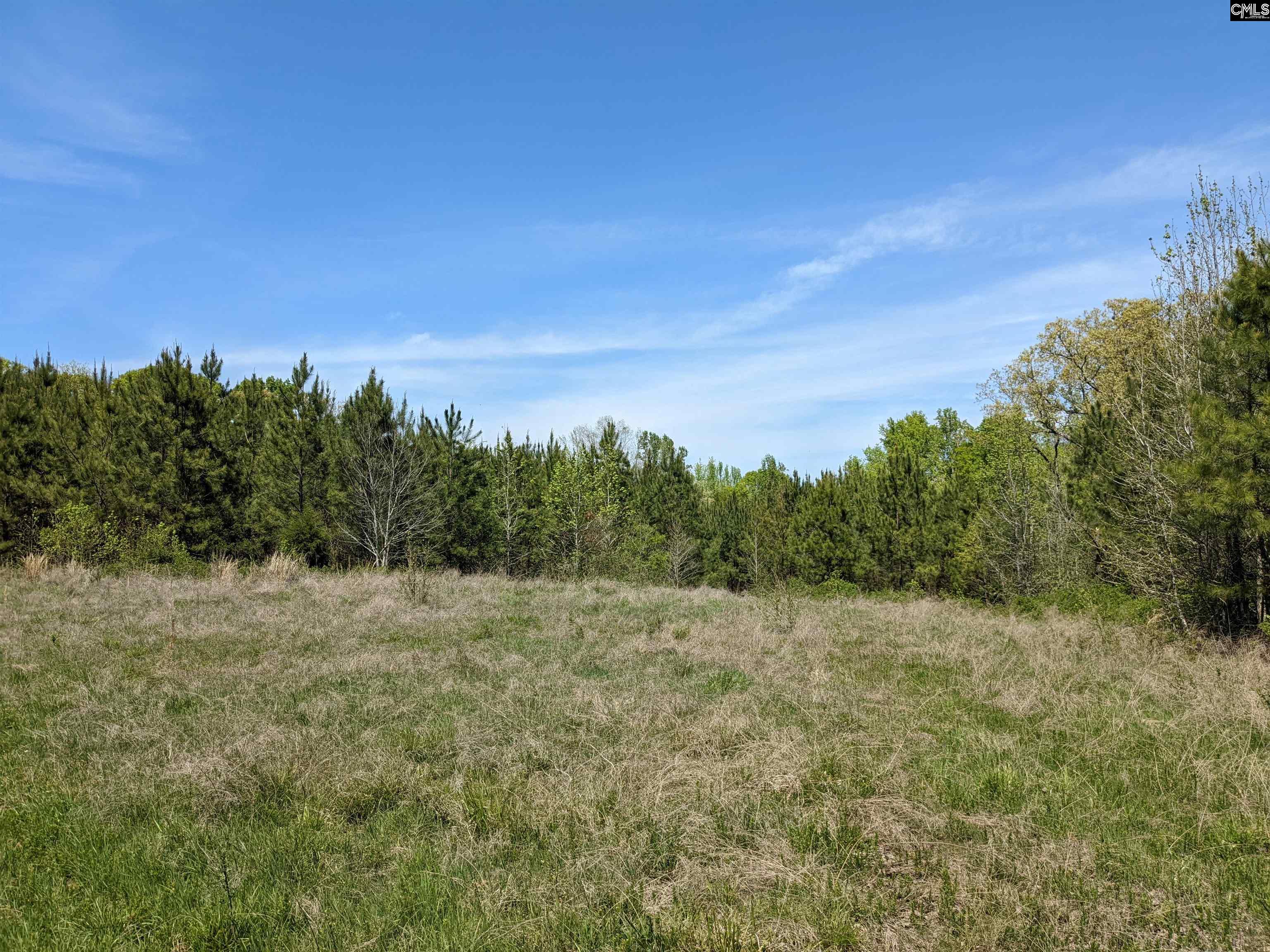 Old Hillcrest School Road, Winnsboro, South Carolina image 8