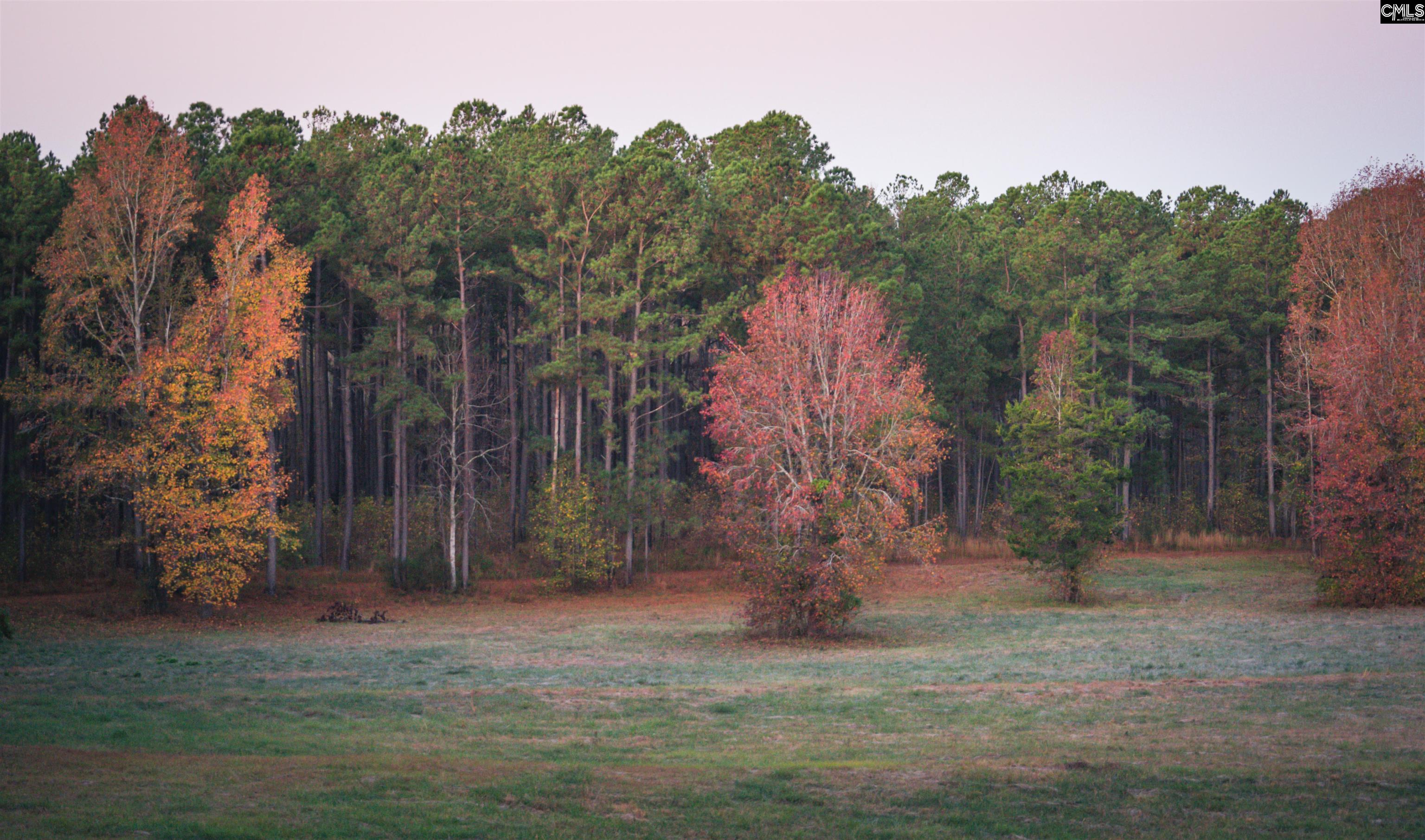 Old Hillcrest School Road Winnsboro, SC 29180