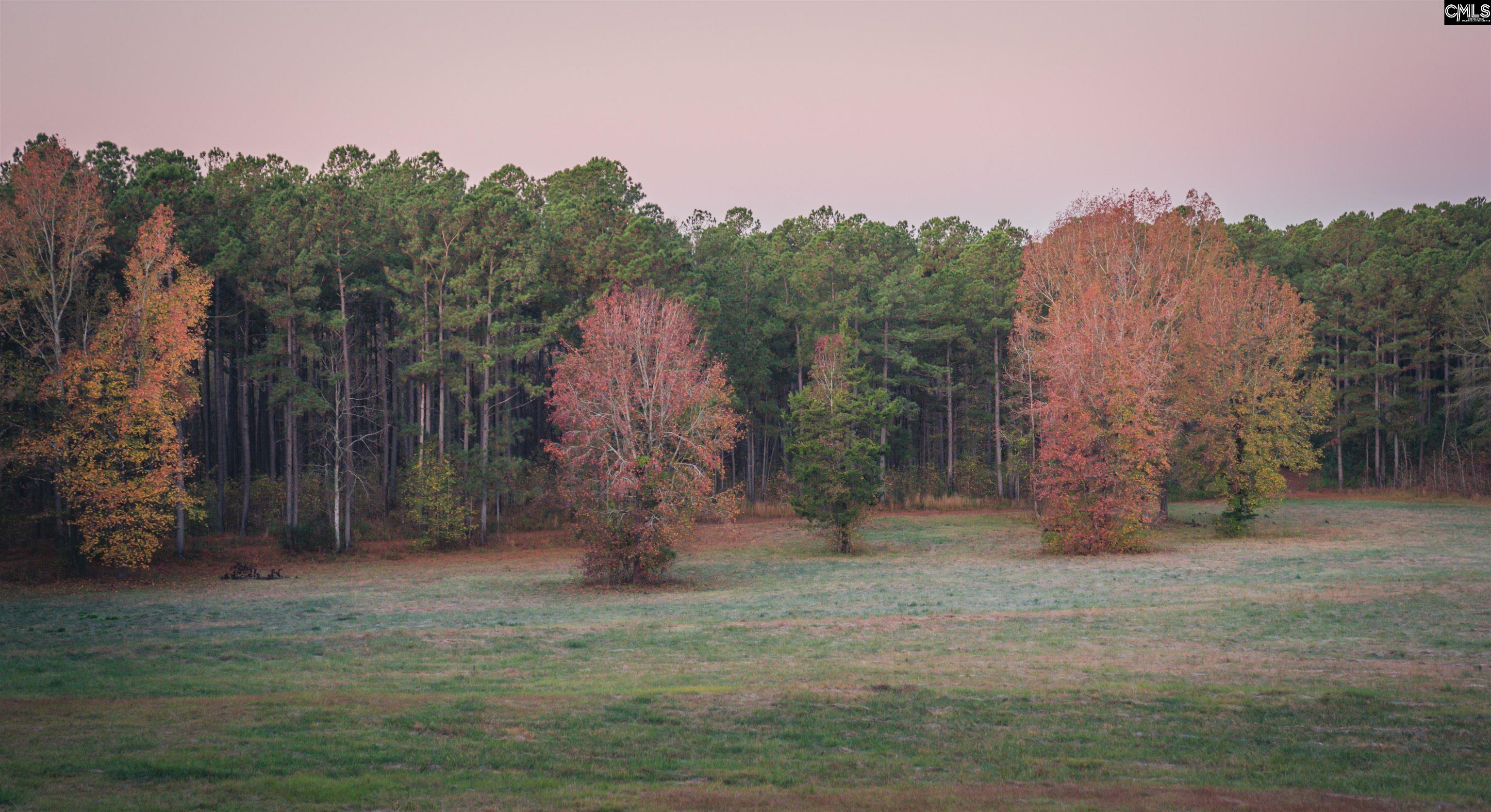 Old Hillcrest School Road Winnsboro, SC 29180