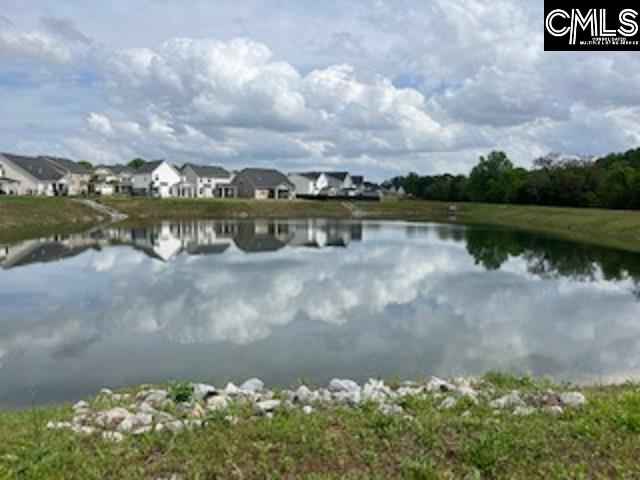 124 Hadleigh Drive, Lexington, South Carolina image 21