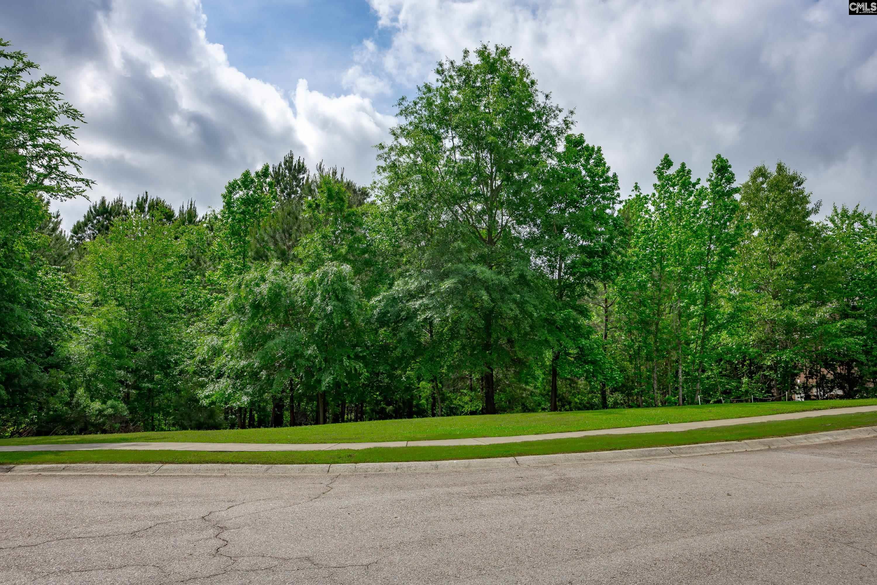 14 Ascot Glen Court, Irmo, South Carolina image 6
