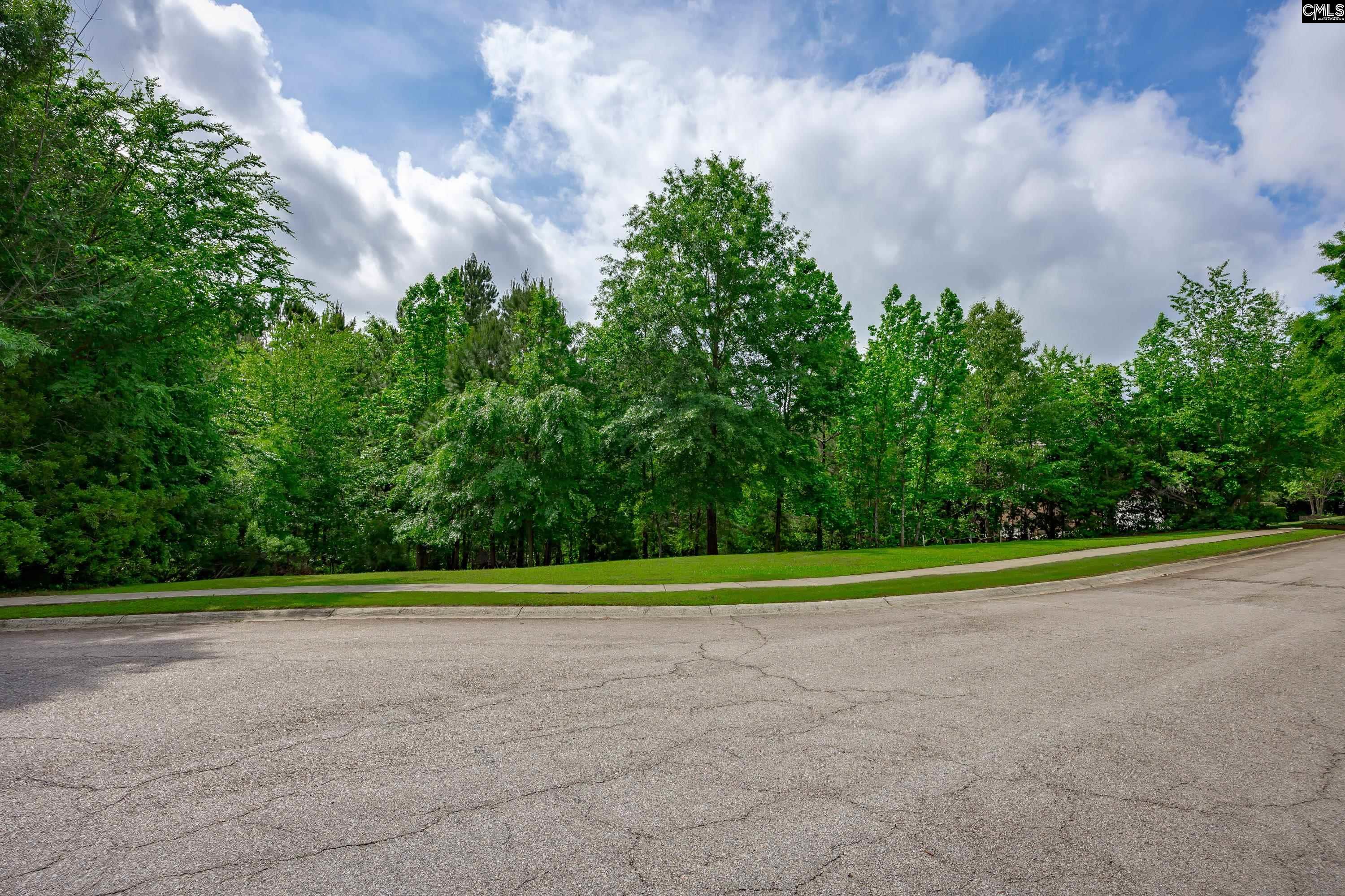 14 Ascot Glen Court, Irmo, South Carolina image 7
