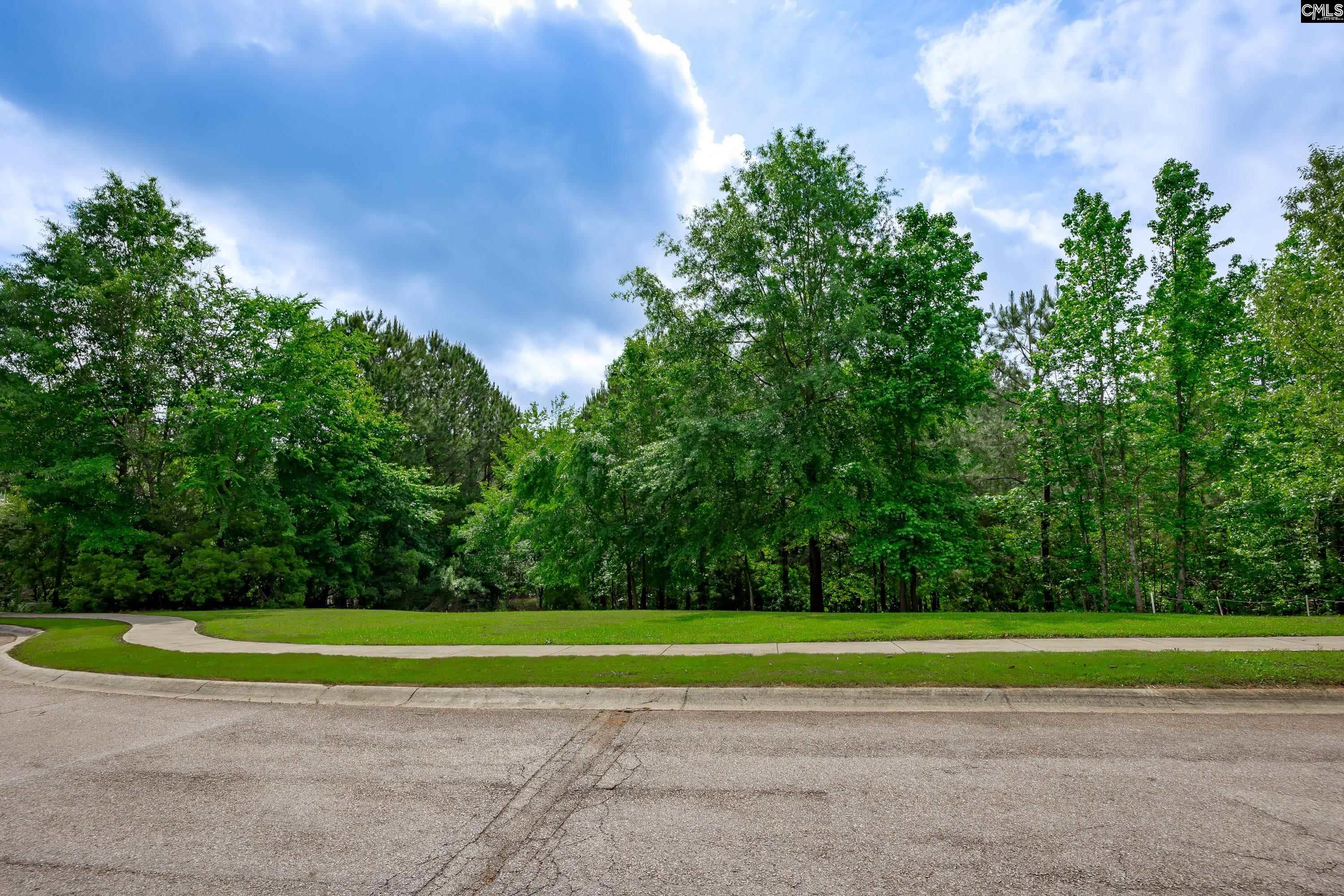 14 Ascot Glen Court, Irmo, South Carolina image 8