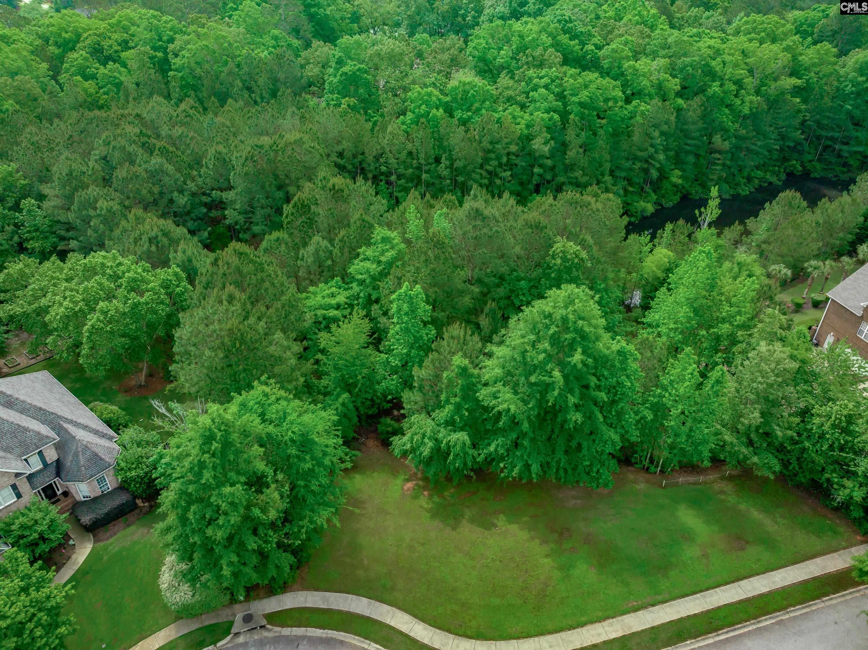 14 Ascot Glen Court, Irmo, South Carolina image 9