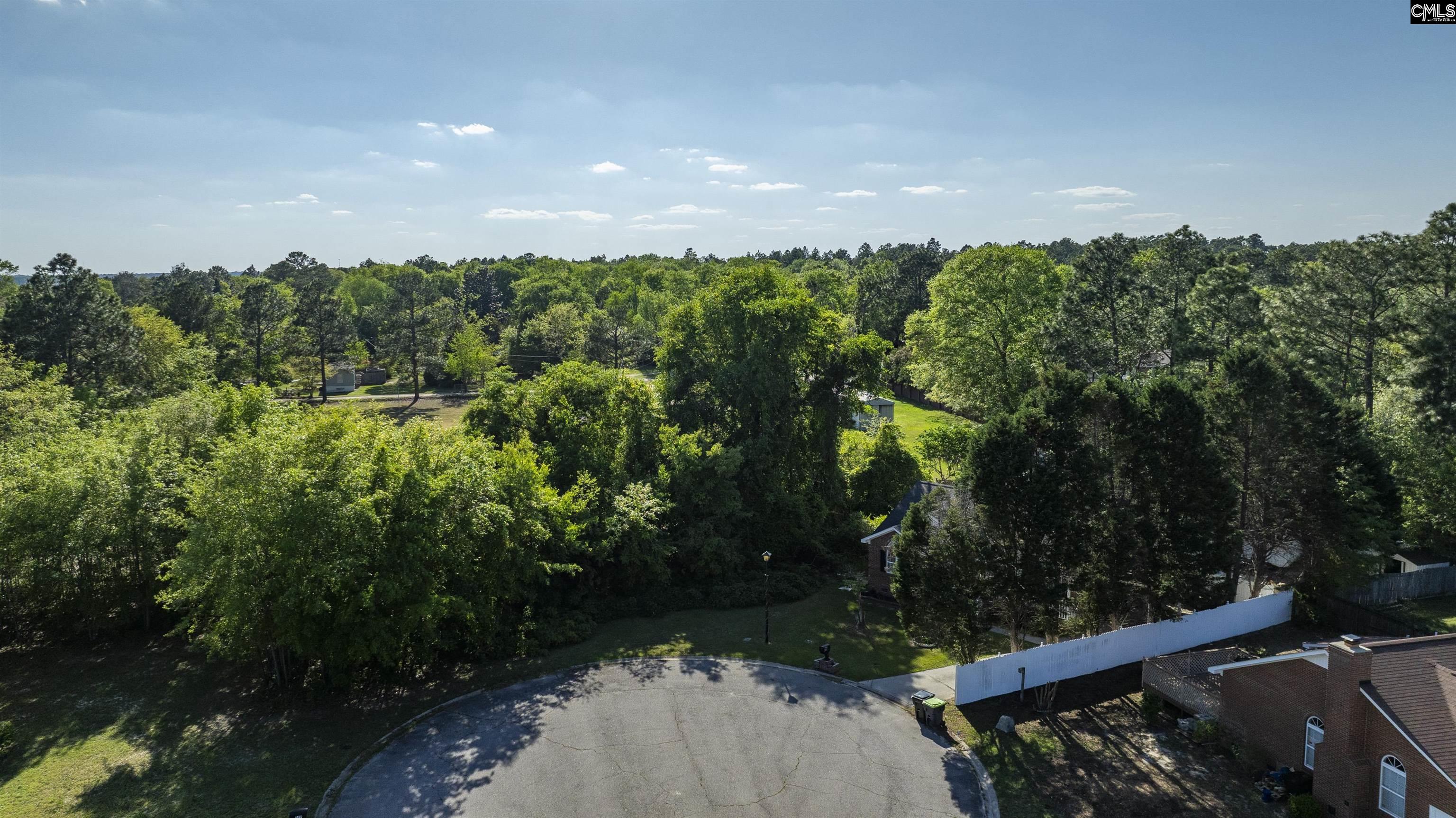 252 Cedar Hill Lane, West Columbia, South Carolina image 12