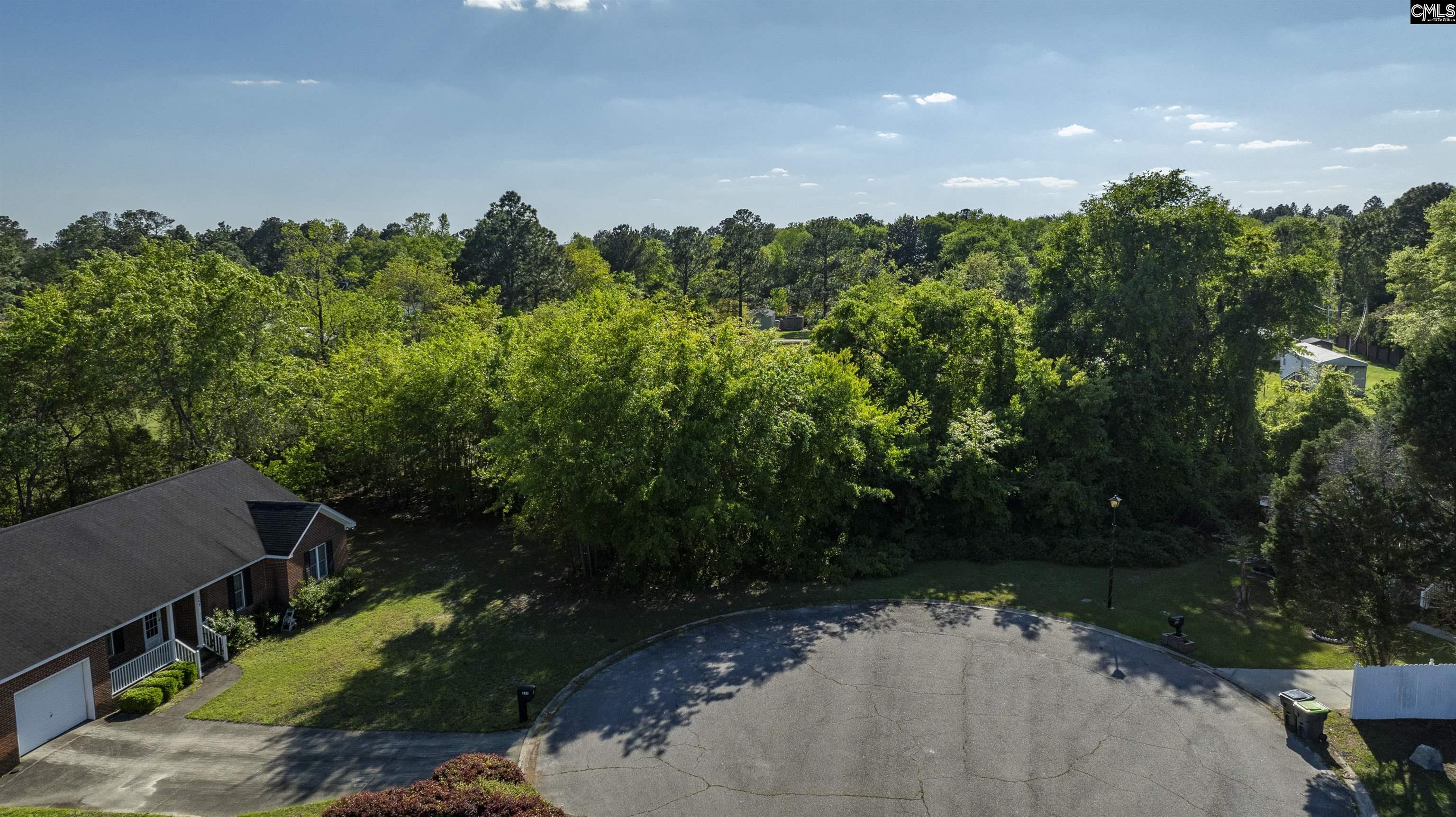 253 Cedar Hill Lane, West Columbia, South Carolina image 14