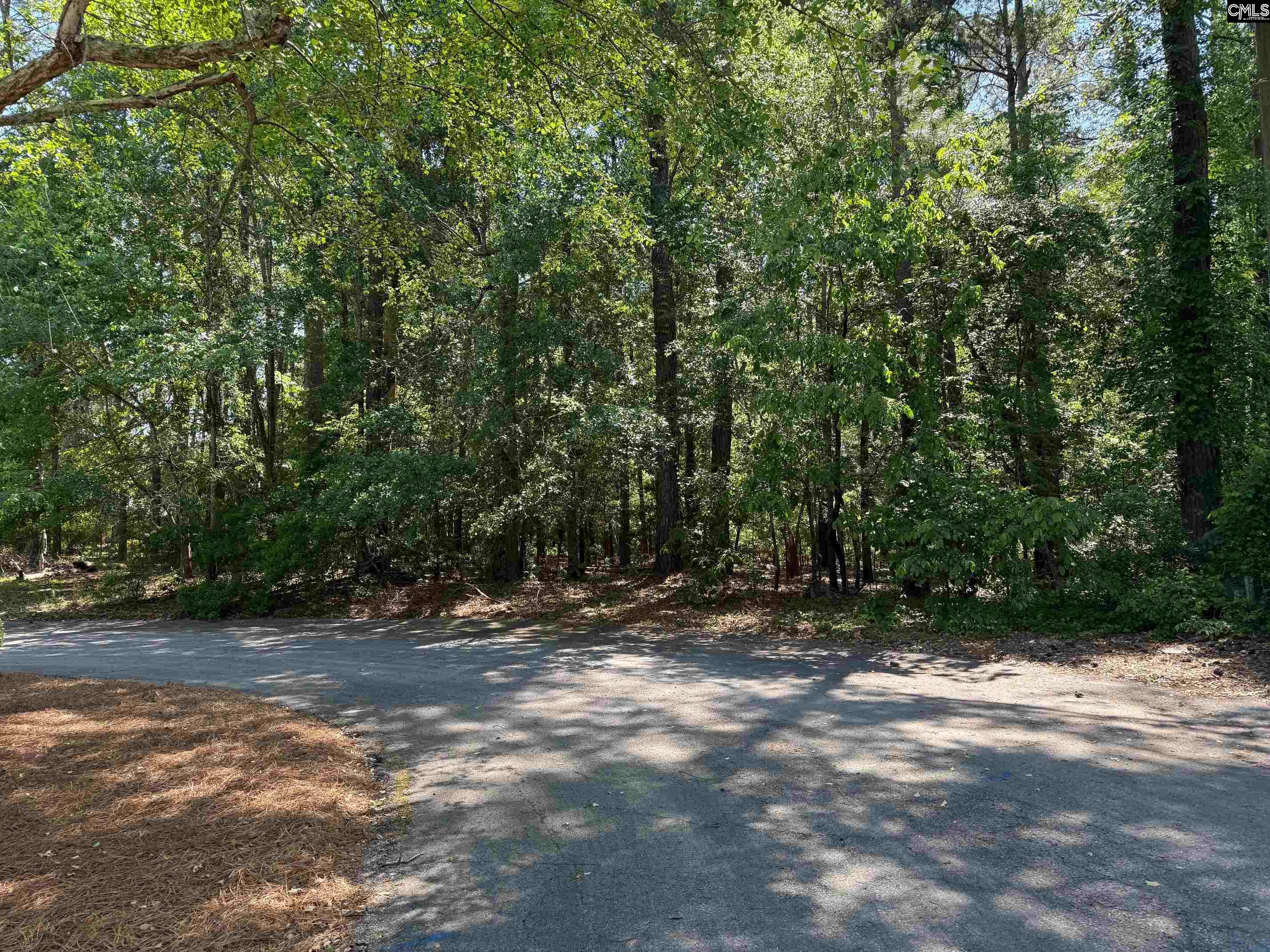 2484 Legare Court, Orangeburg, South Carolina image 3