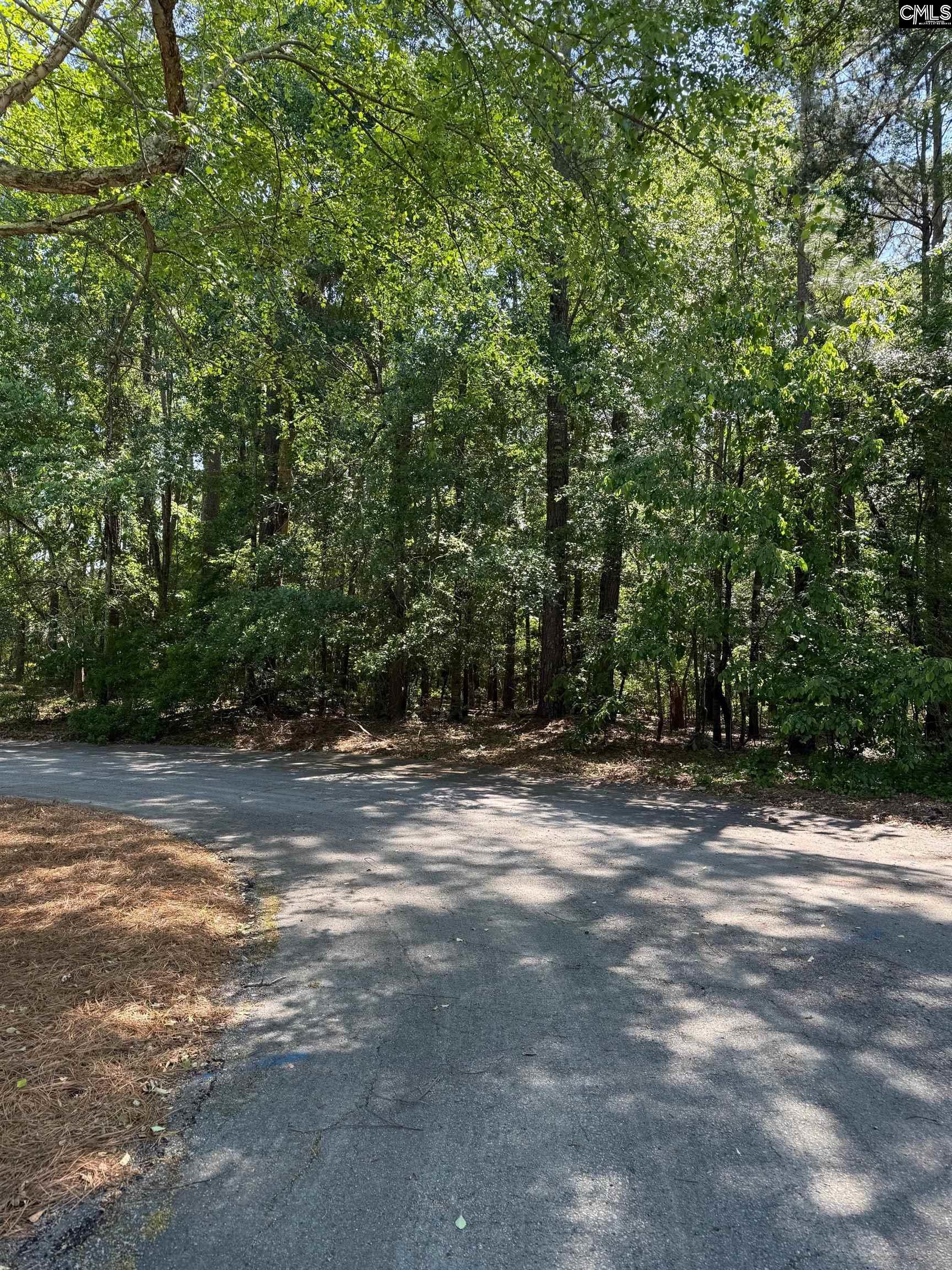 2484 Legare Court, Orangeburg, South Carolina image 4