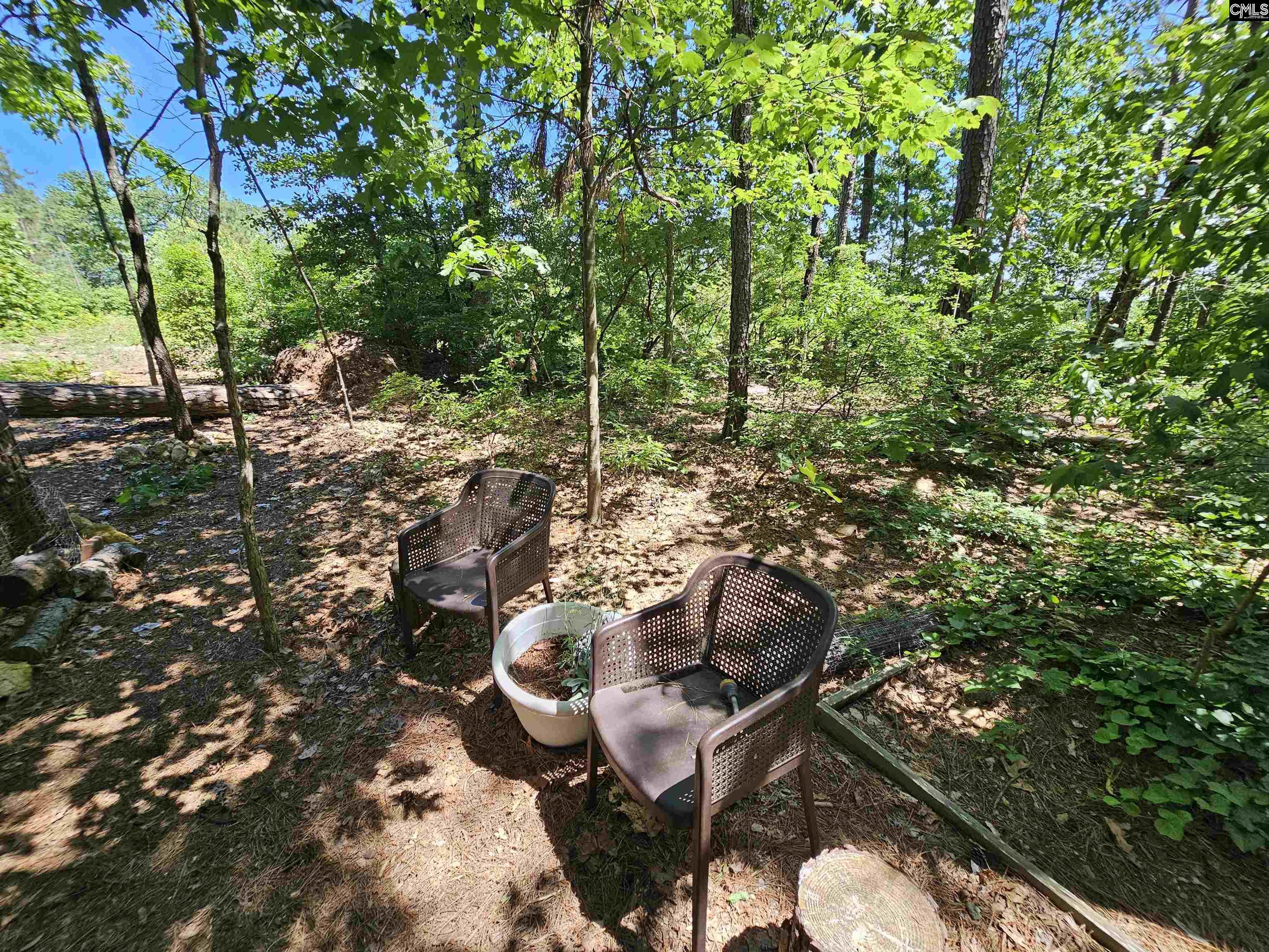 1456 Nursery Road, Little Mountain, South Carolina image 39